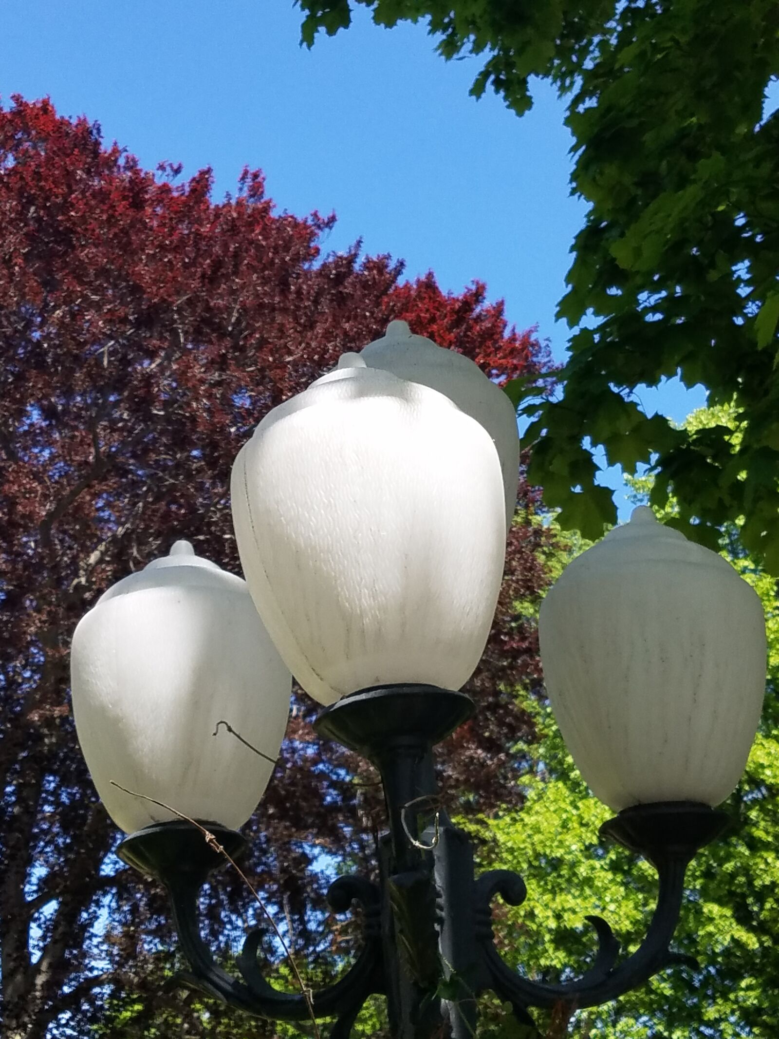 Samsung Galaxy S7 Edge sample photo. Glass, street lamps, light photography