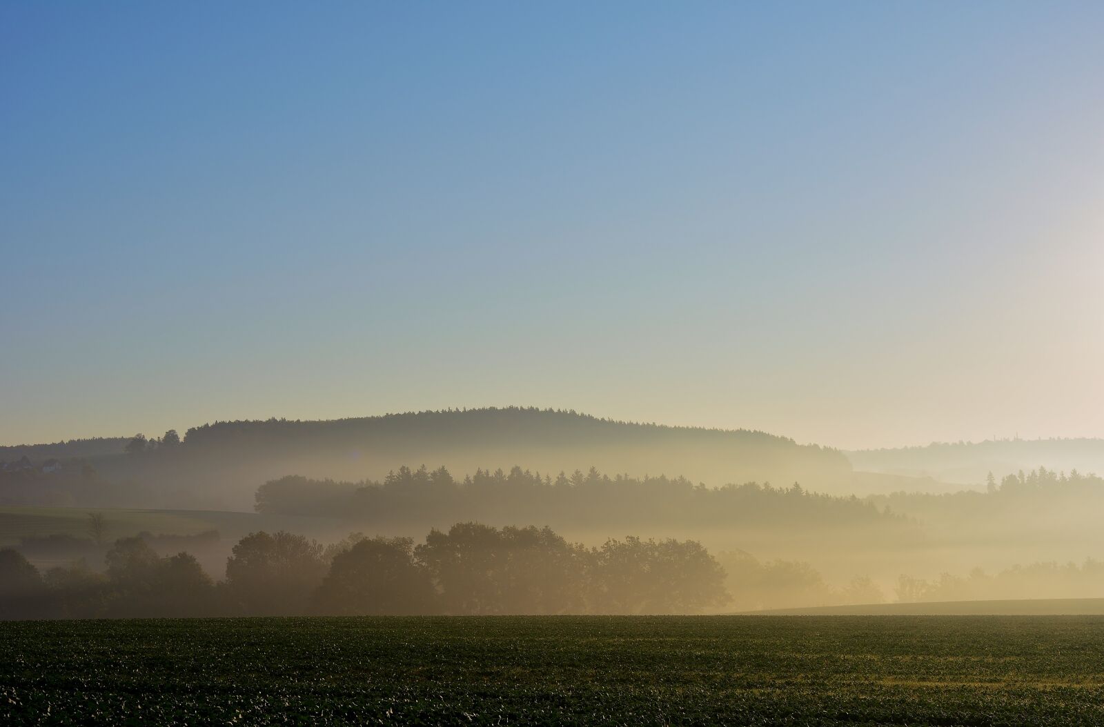 Nikon D5200 sample photo. Autumn, morning mist, landscape photography