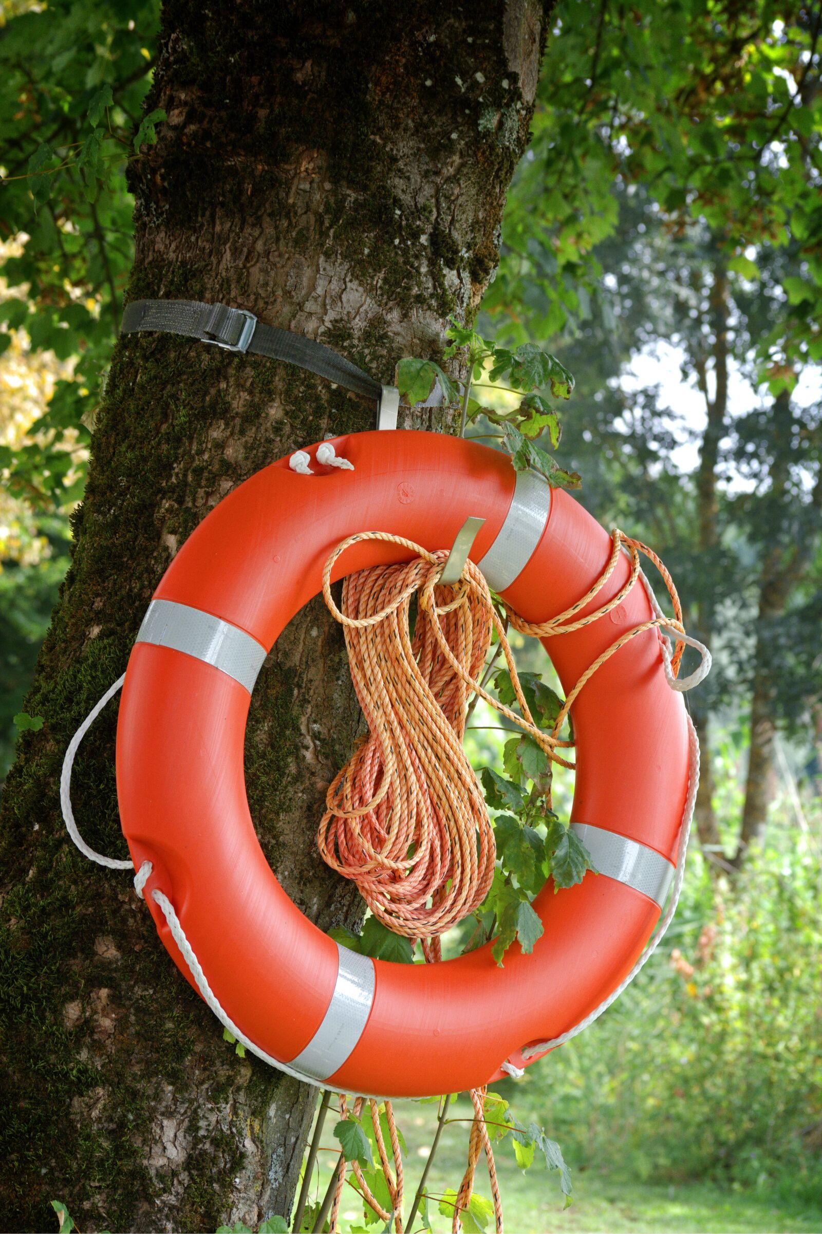 55.0-200.0mm f/4.0-f/5.6 sample photo. Lifebelt, ring, rescue photography