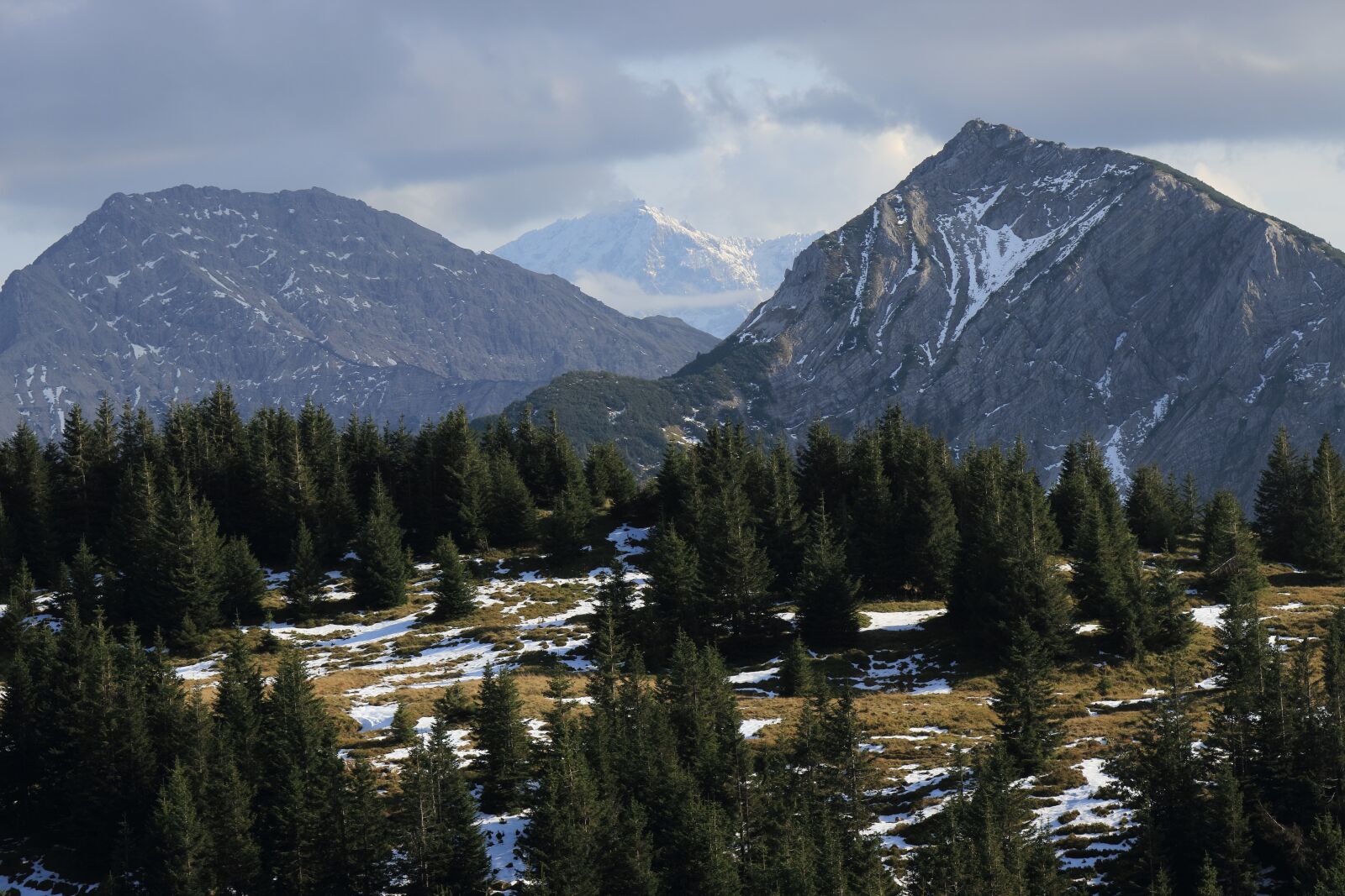 Canon EOS 80D sample photo. Mountain, trees, snow photography
