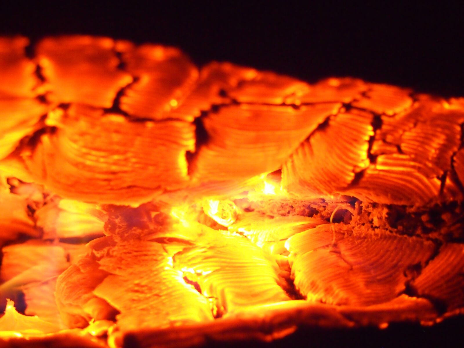Olympus PEN E-PM1 sample photo. Embers, wood, warm photography