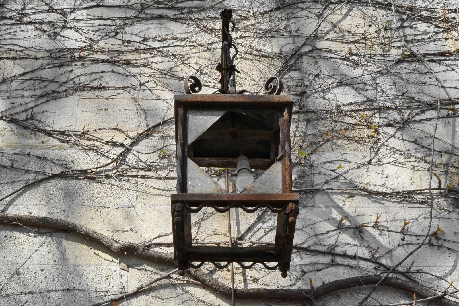 Nikon D5500 sample photo. Cast iron, glass, lamp photography