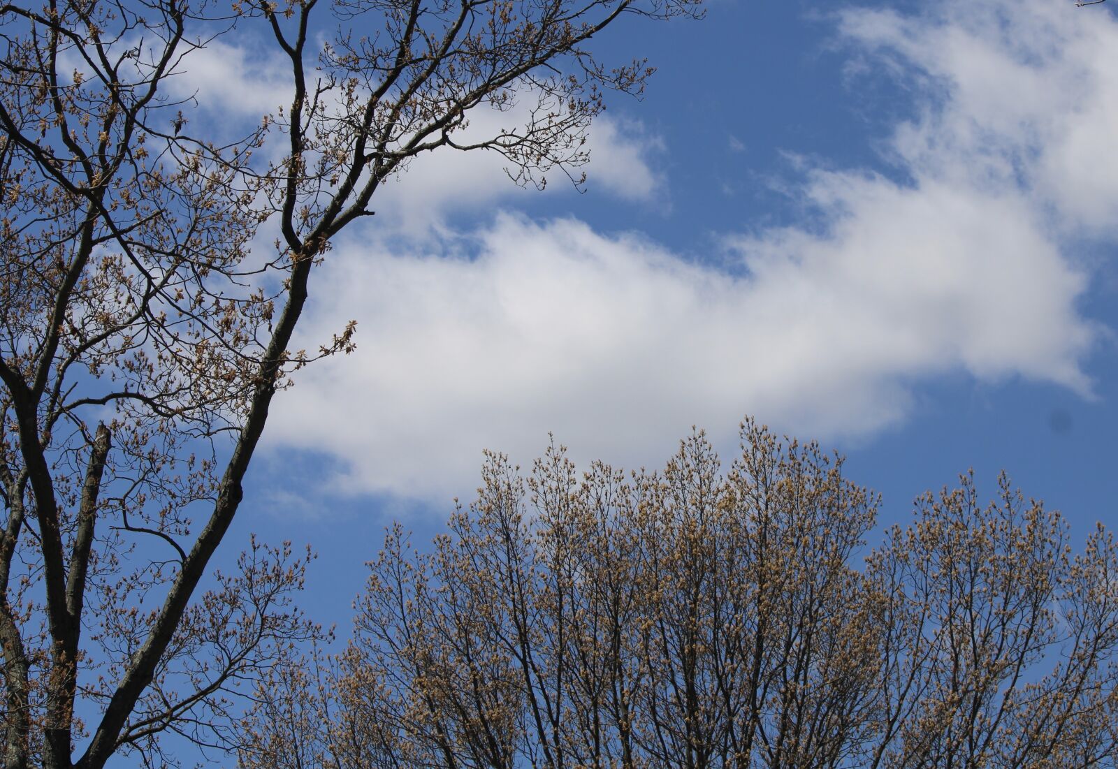 Canon EOS 2000D (EOS Rebel T7 / EOS Kiss X90 / EOS 1500D) sample photo. Blue sky, clouds, nature photography