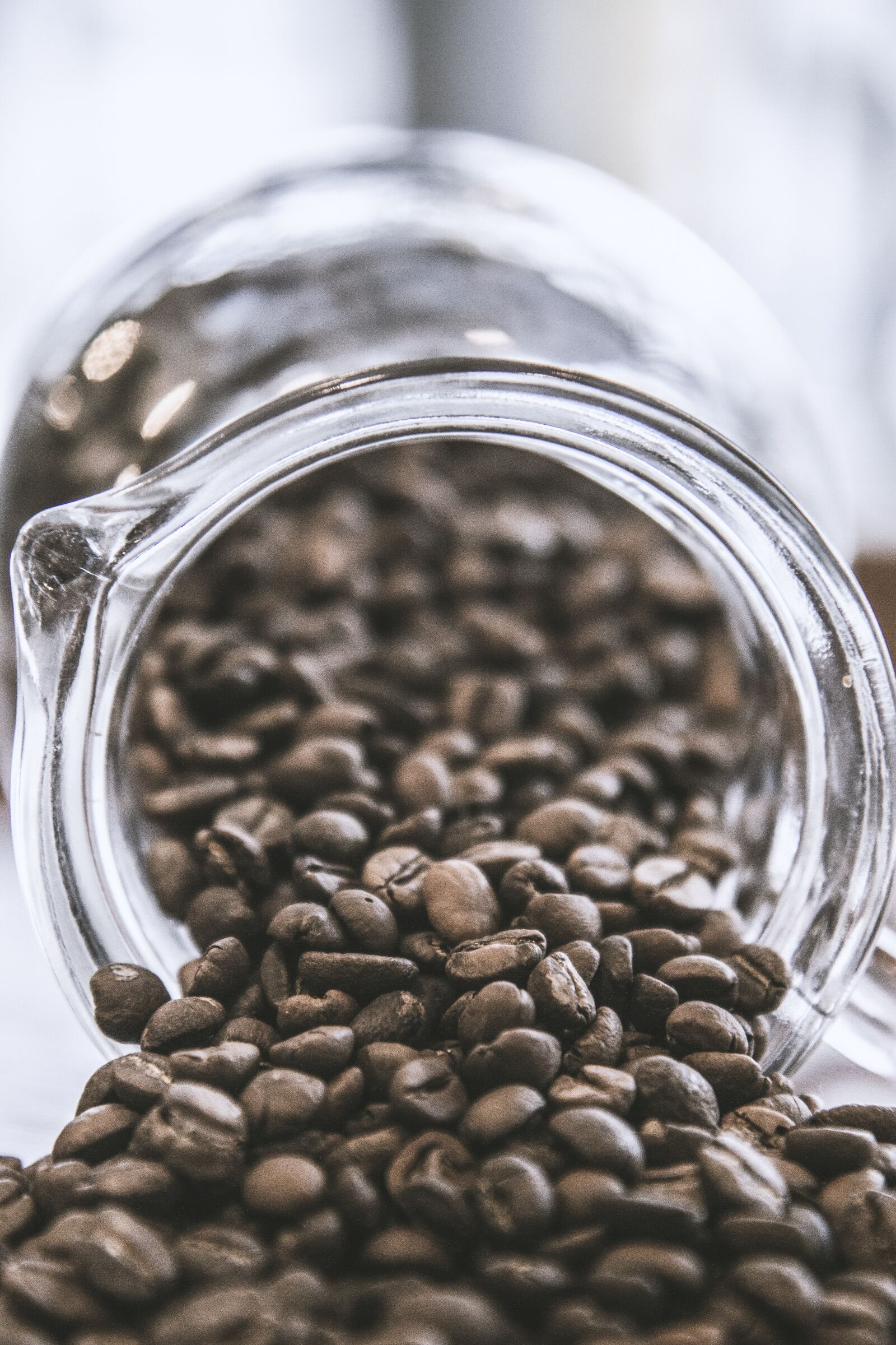 Canon EOS 7D + Sigma 12-24mm f/4.5-5.6 EX DG ASPHERICAL HSM + 1.4x sample photo. Coffee, seeds, seed photography