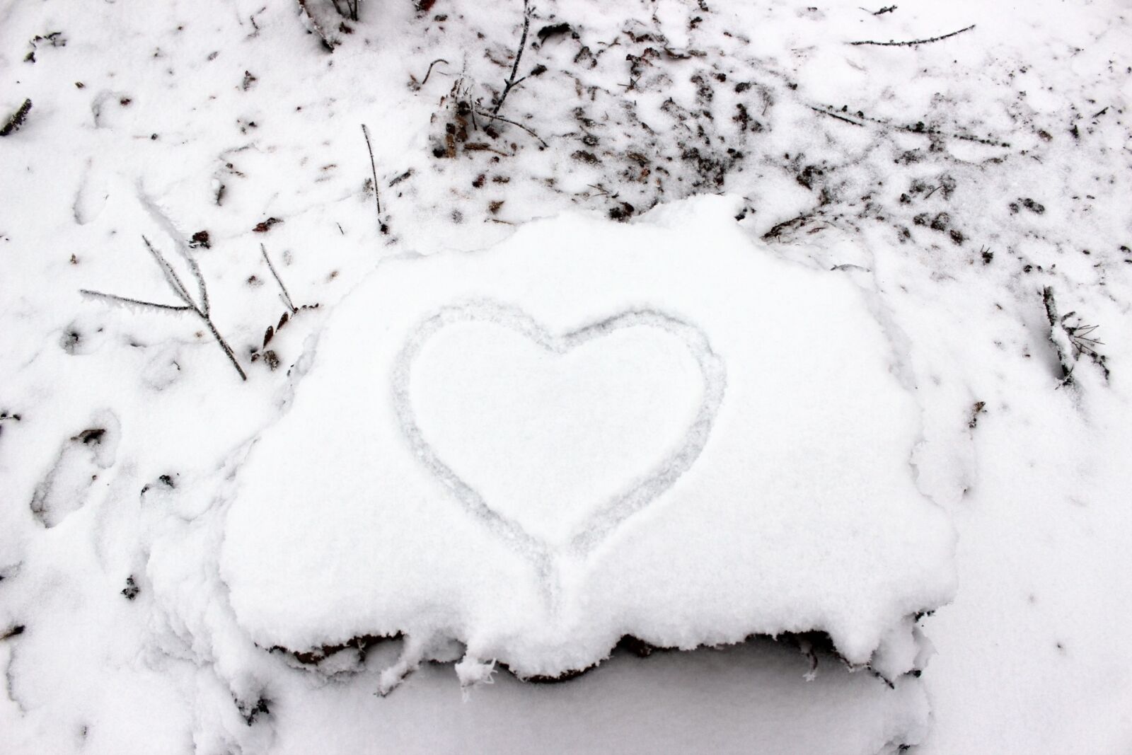 Canon EOS 600D (Rebel EOS T3i / EOS Kiss X5) sample photo. Winter, snow, heart photography
