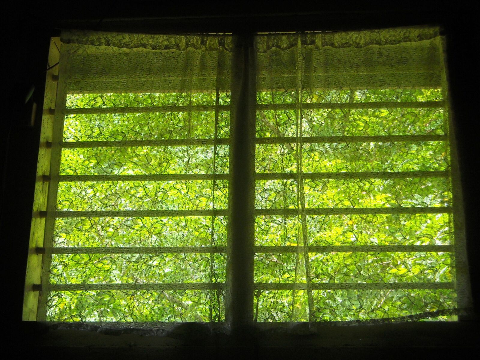 Nikon Coolpix L16 sample photo. Window, room, home photography