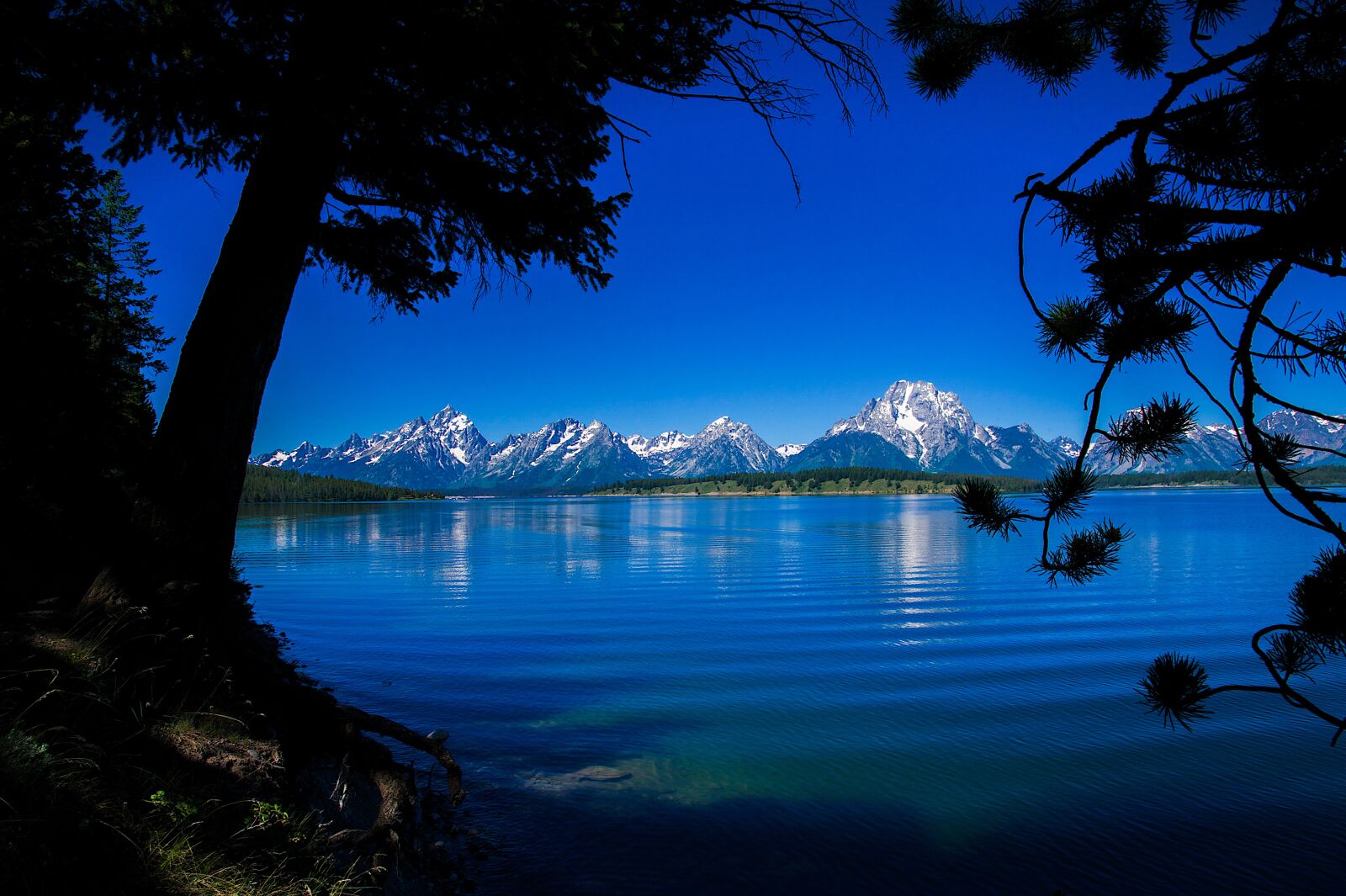 Nikon D700 sample photo. Lake, nature, water photography