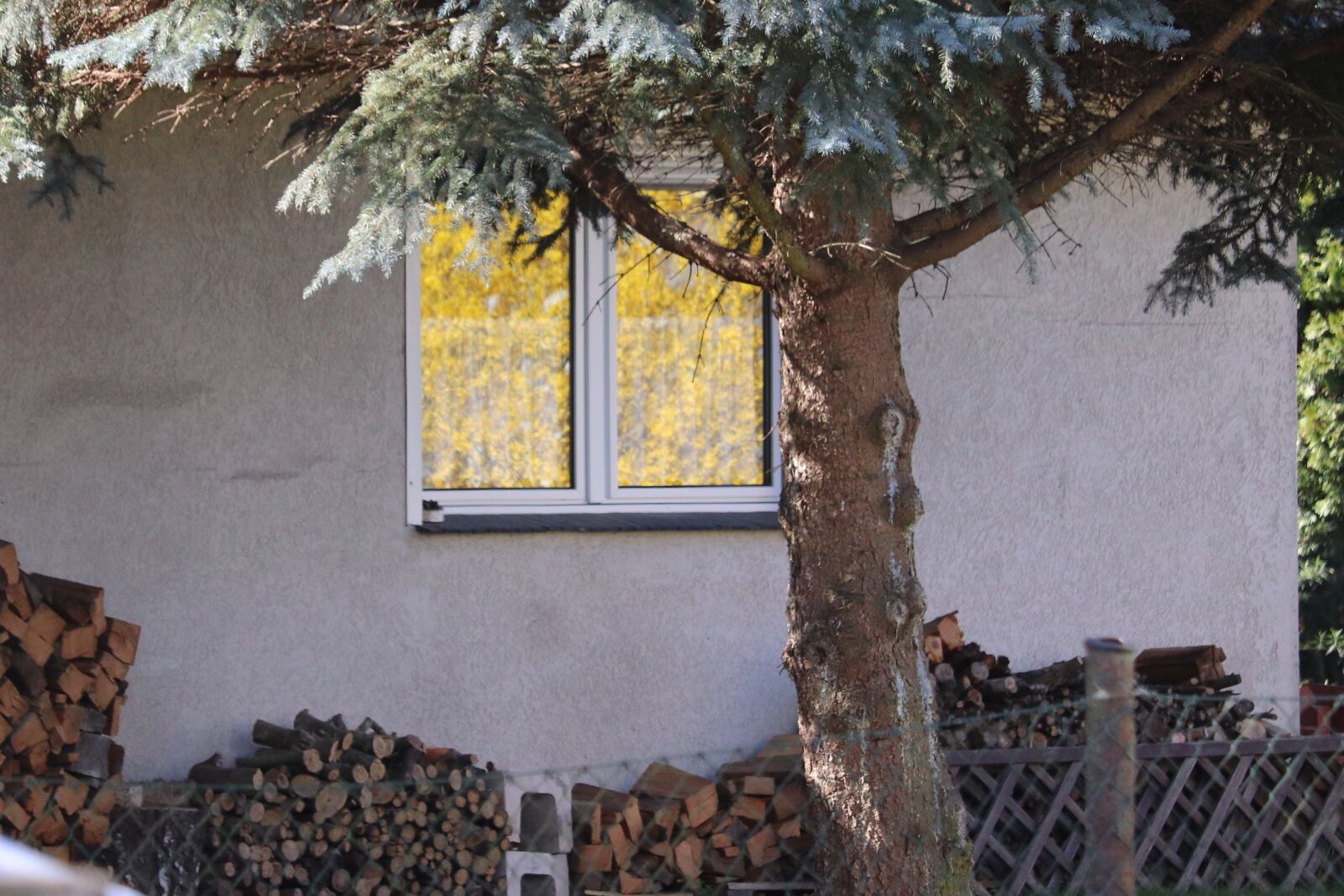 Canon EOS 200D (EOS Rebel SL2 / EOS Kiss X9) sample photo. House, tree, window photography