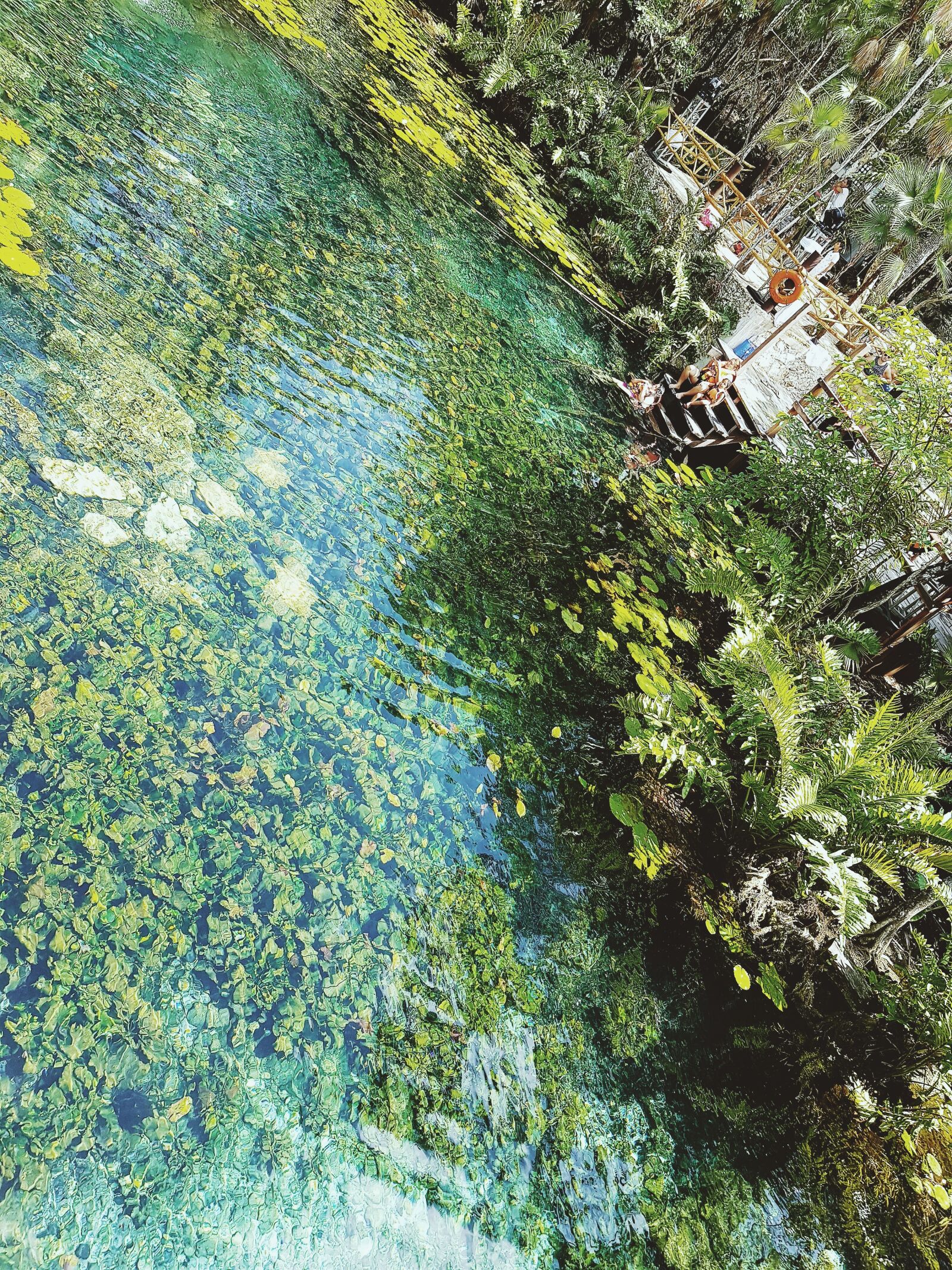 Samsung Galaxy S8+ sample photo. Cenote, tulum, mexico photography