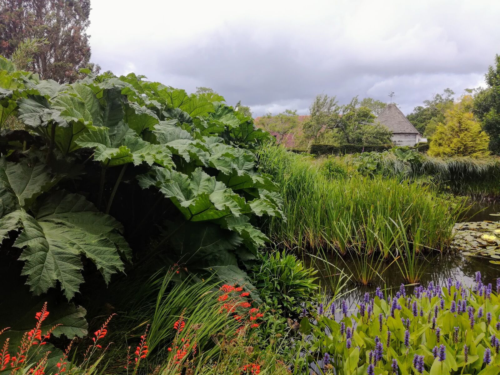 HUAWEI Honor 5C sample photo. Great dixter, pond, garden photography