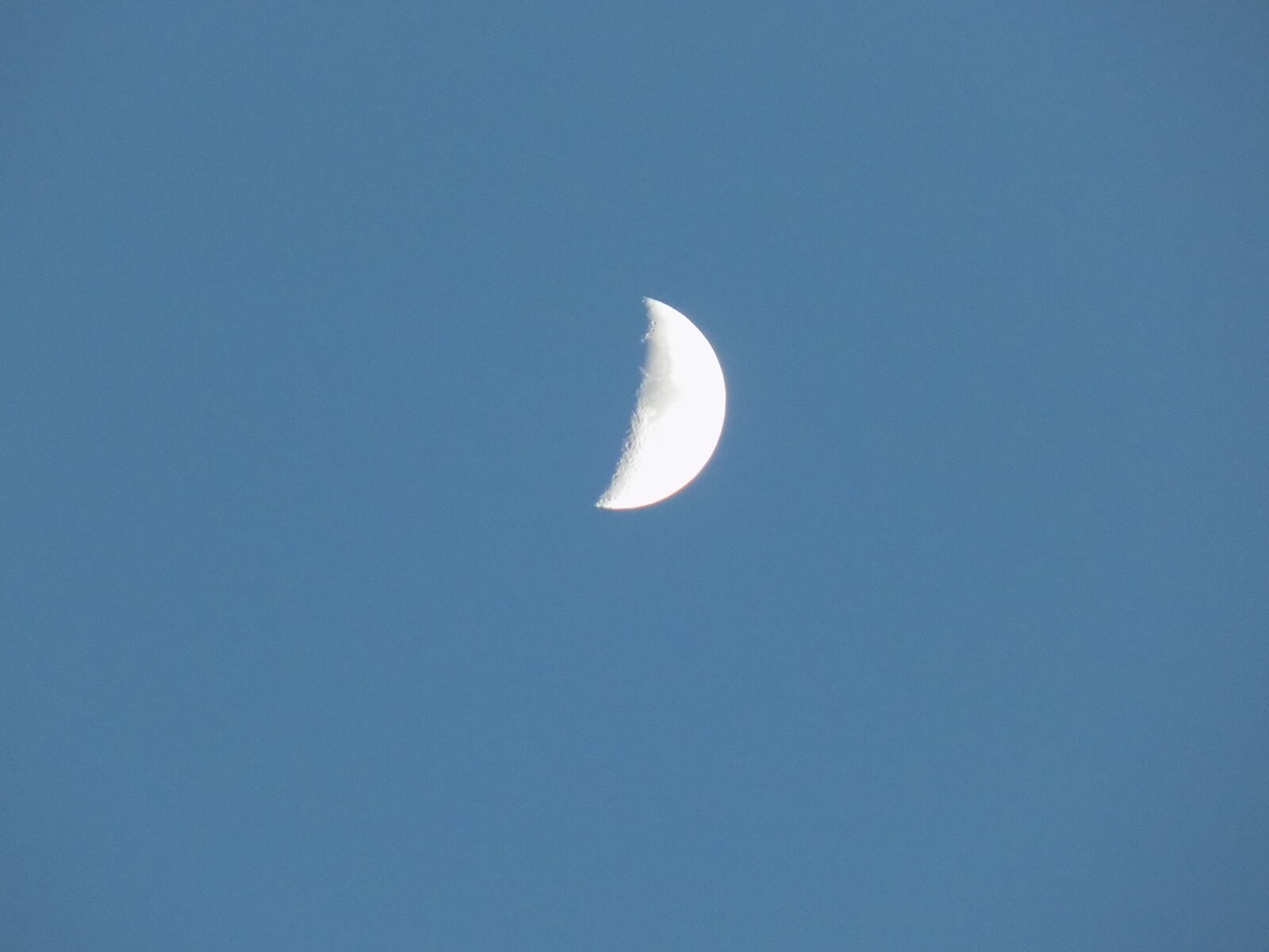 Nikon COOLPIX L330 sample photo. Dusk, evening, half, moon photography