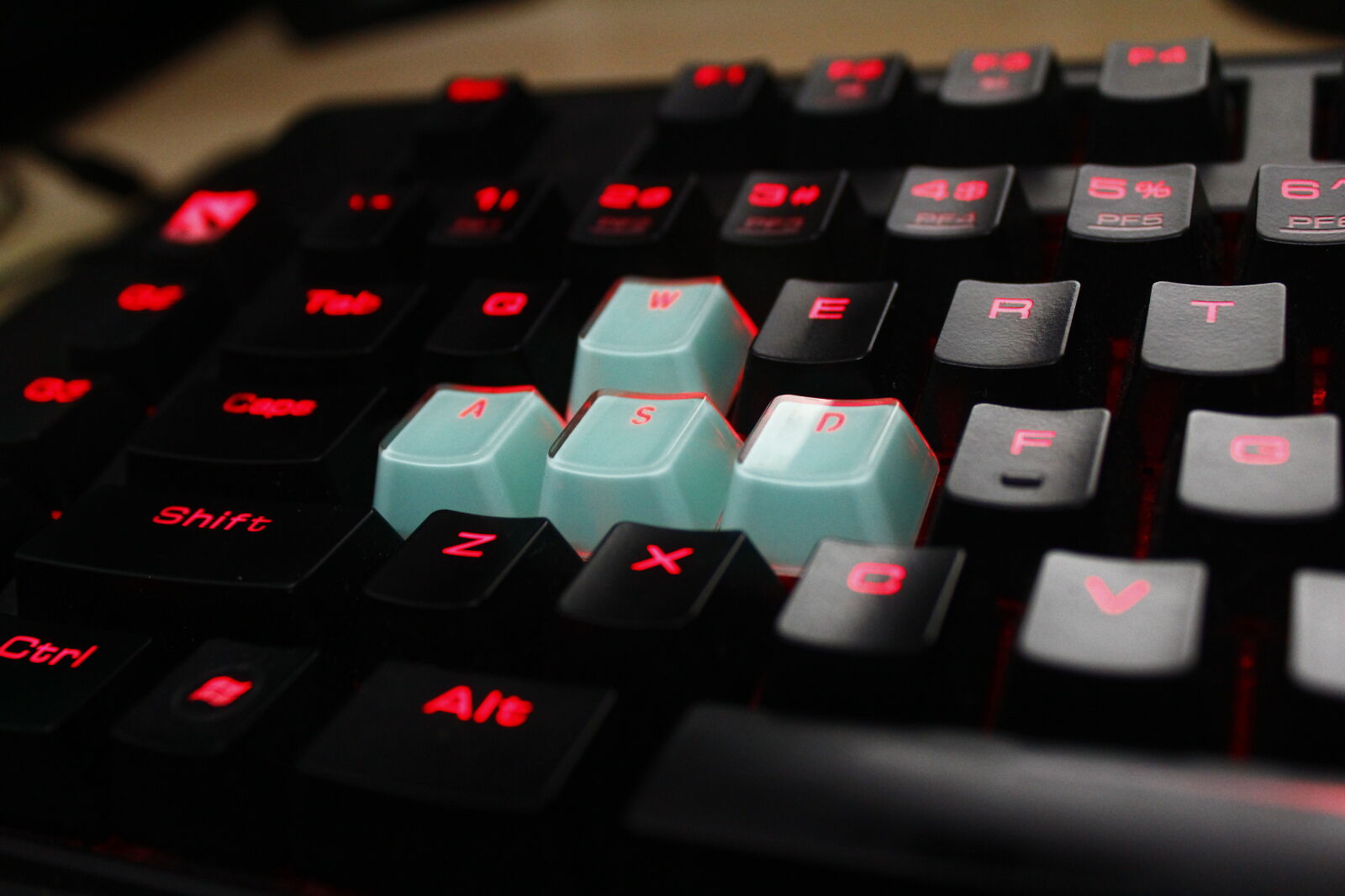 Canon EOS 600D (Rebel EOS T3i / EOS Kiss X5) sample photo. Computer, keyboard, gaming, keyboard photography