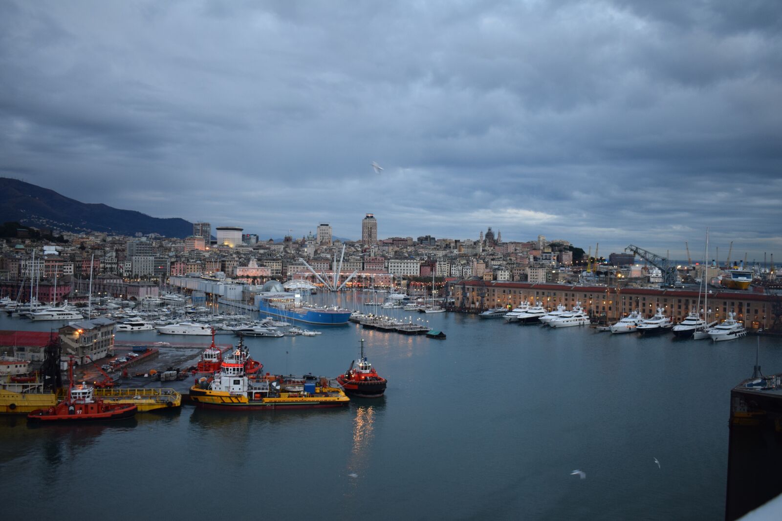 Nikon D3300 sample photo. Port, genoa, italy photography