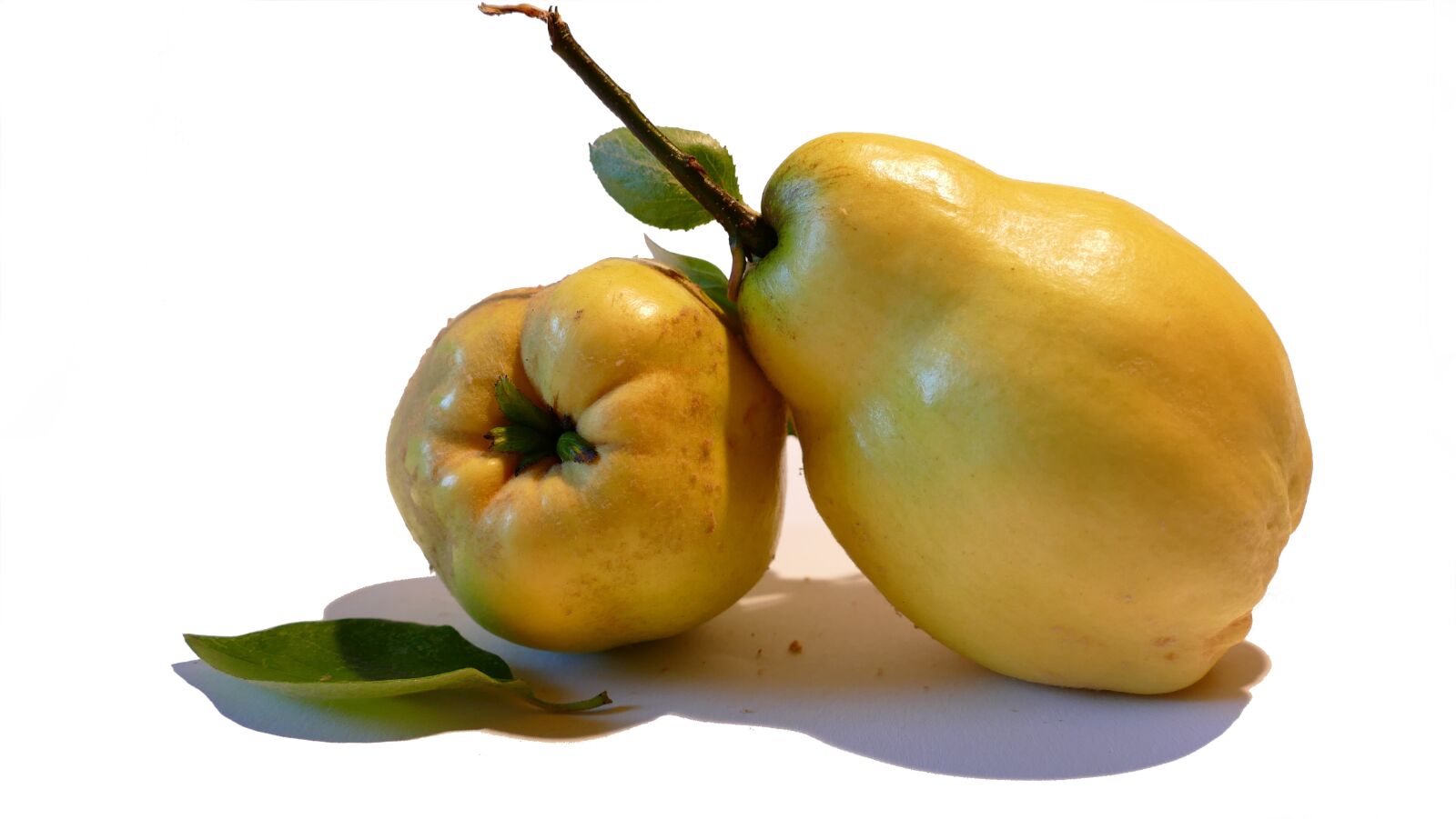 Panasonic Lumix DMC-FZ1000 sample photo. Quince, pear-quince, fruit photography