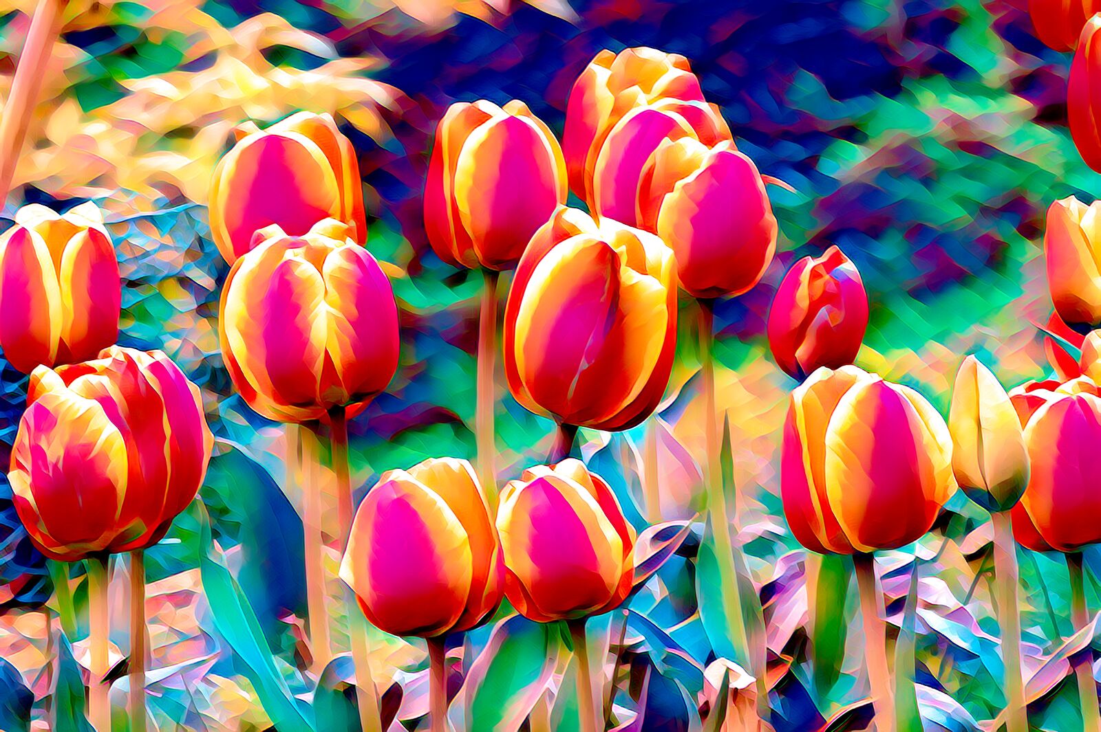 Canon EOS 550D (EOS Rebel T2i / EOS Kiss X4) sample photo. Tulips, flowers, blossom photography