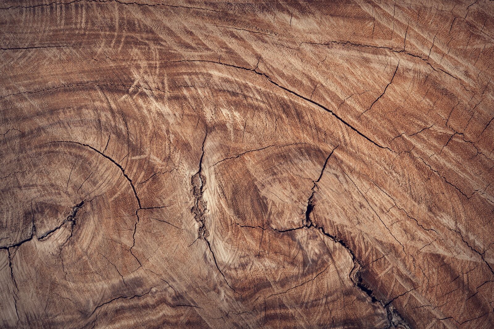 Nikon D700 sample photo. Wood, brown, wooden photography