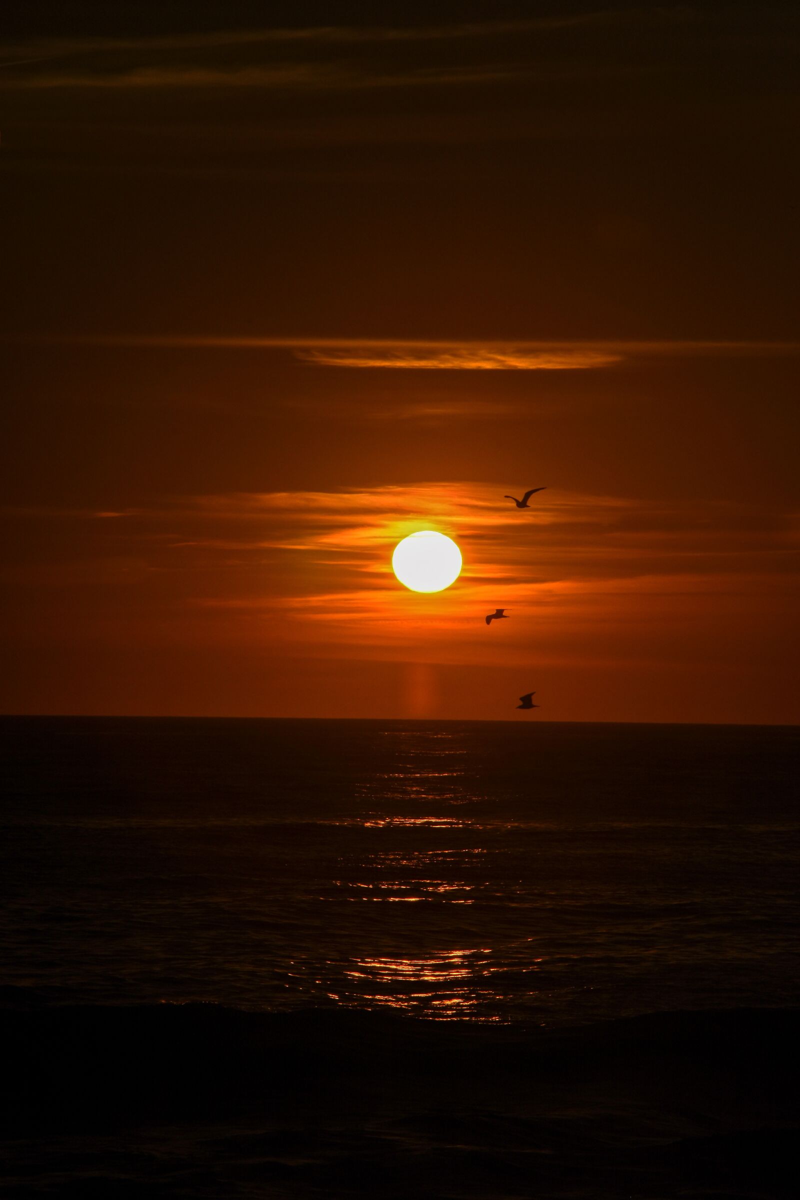 Nikon D7200 sample photo. Sunset, sun, sky photography