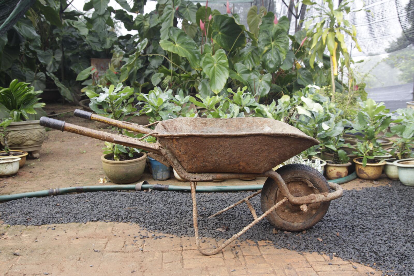 Canon EOS 50D sample photo. Garden, wheelbarrow, farming photography