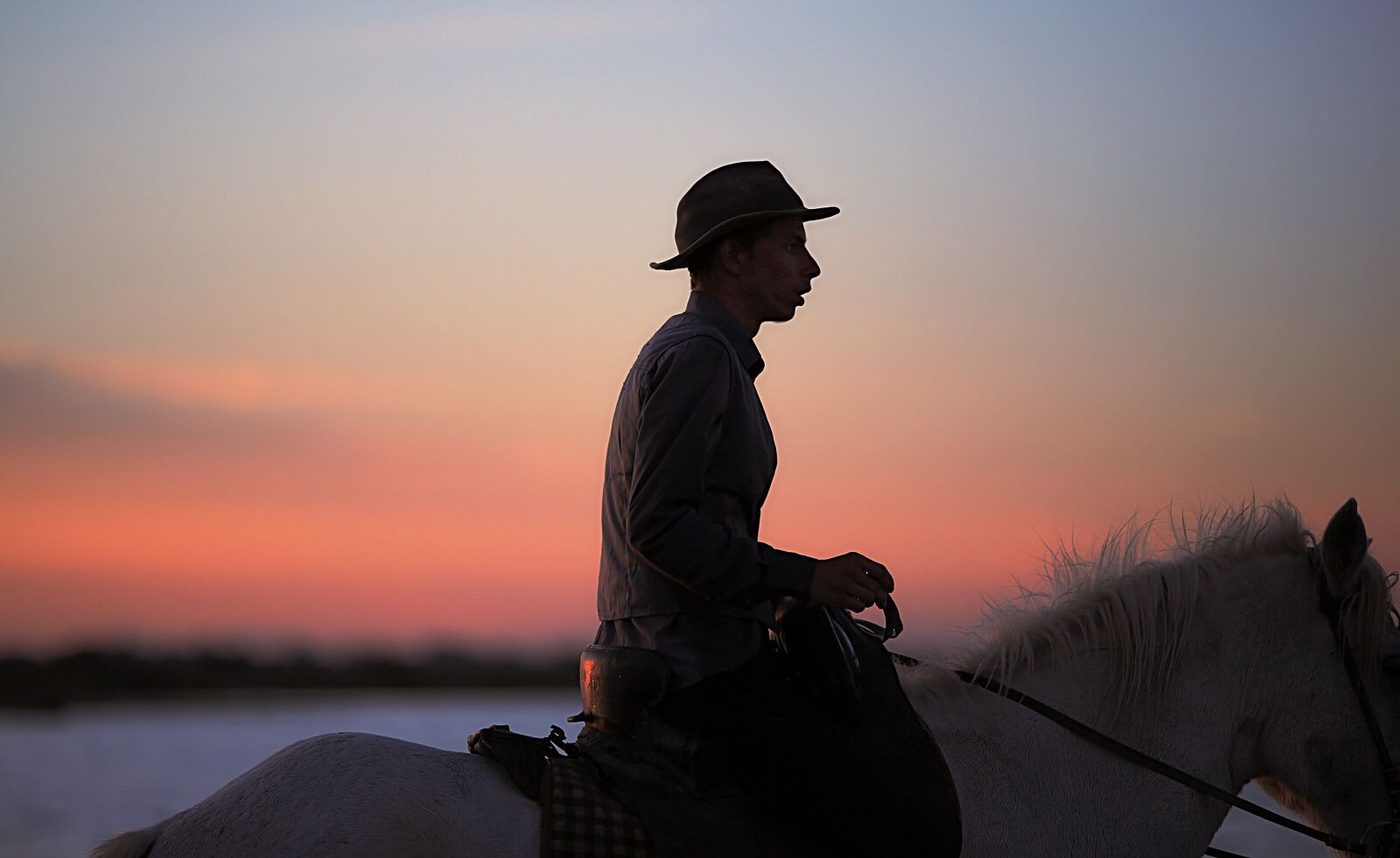 Canon EOS 5D Mark III sample photo. Gardian, horse, horses photography
