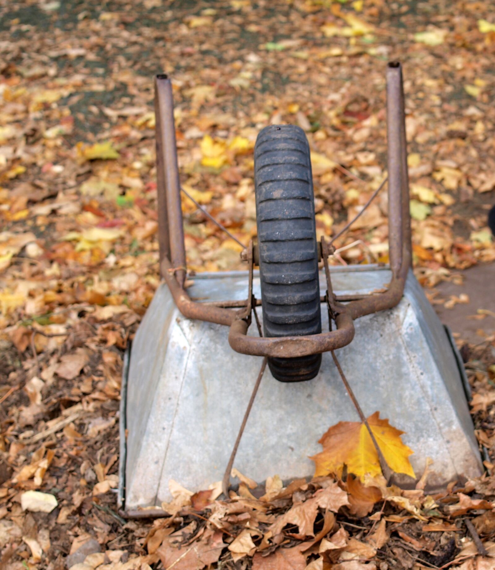 Olympus E-520 (EVOLT E-520) sample photo. Wheelbarrow, garden, autumn photography