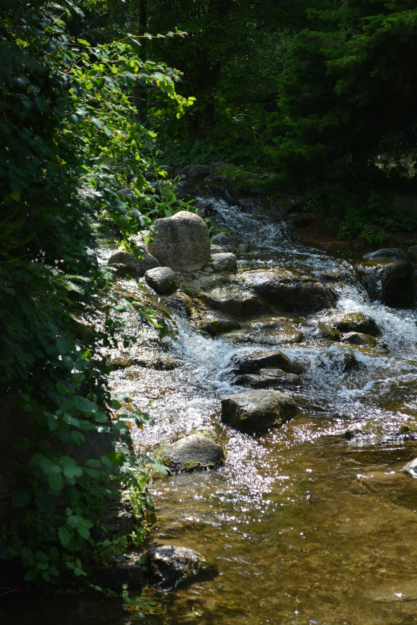 Nikon D5200 sample photo. Water, nature, forest photography