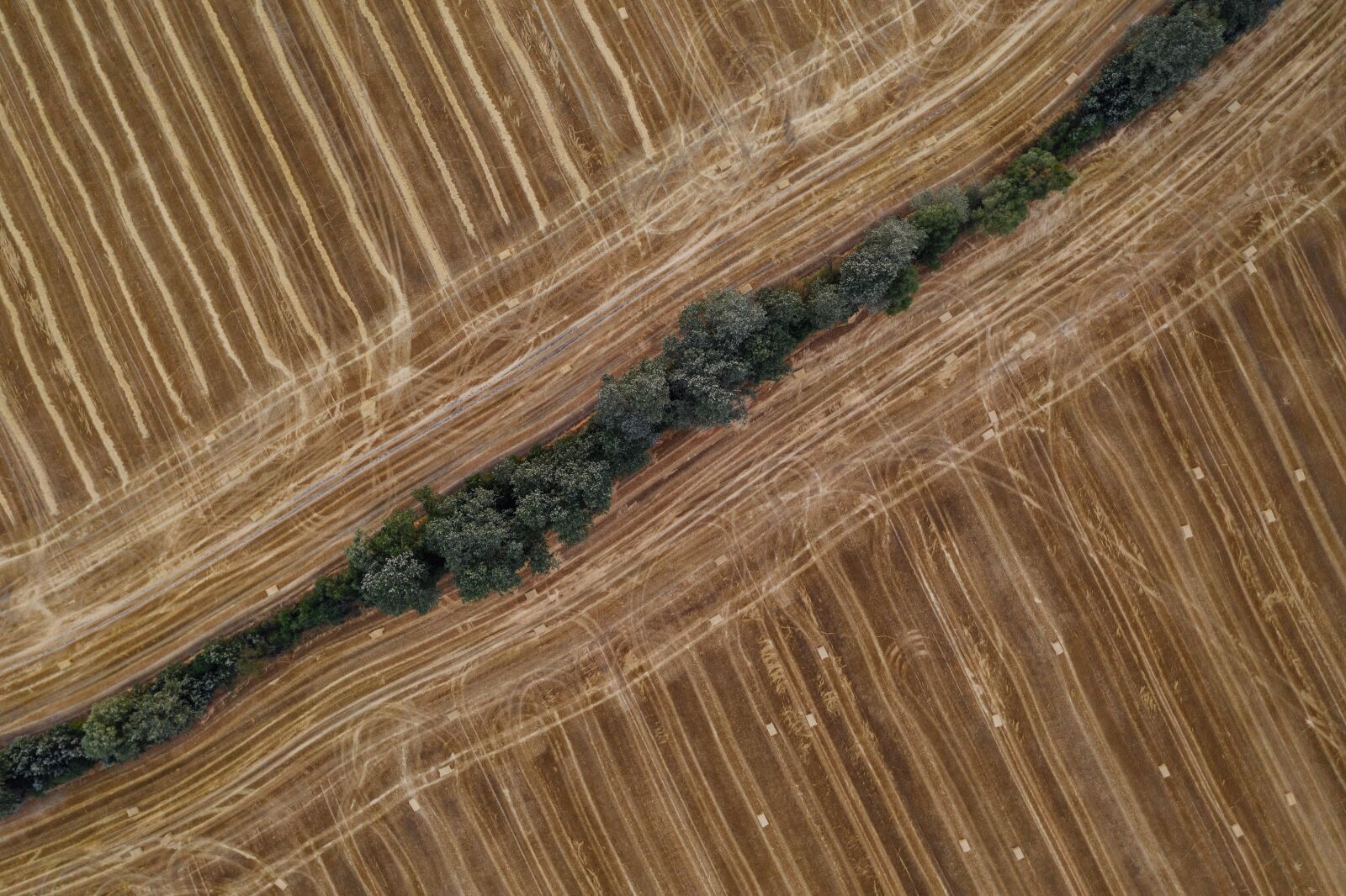 Hasselblad L1D-20c sample photo. Geometric, pattern, agriculture photography