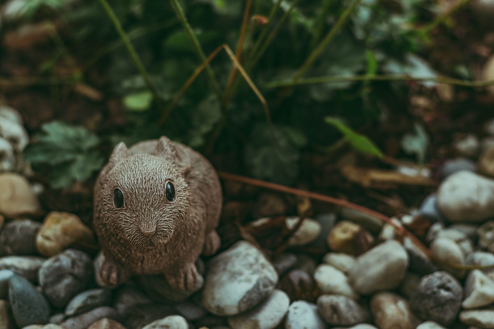 Nikon D5600 sample photo. Nature, decoration, decorative photography