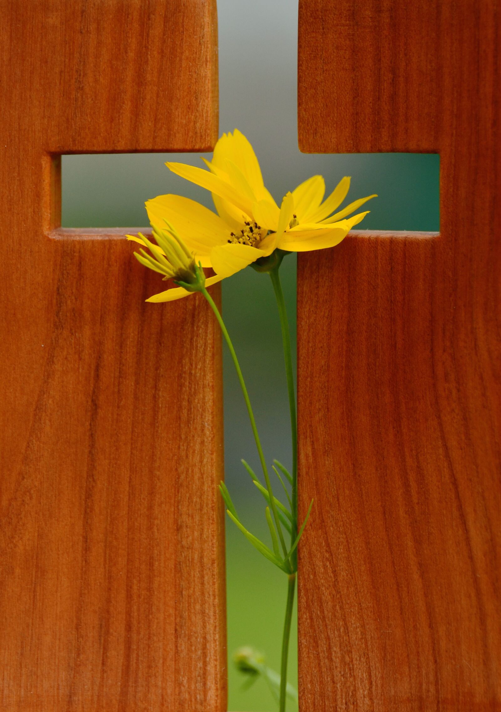 Nikon D5100 sample photo. Cross, symbol, christian faith photography