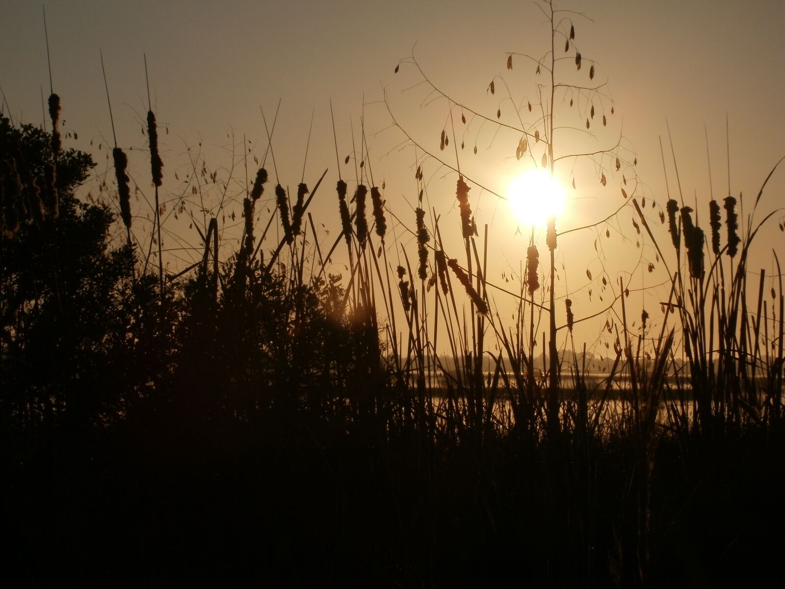 Olympus FE47,X43 sample photo. Sunrise, river, landscape photography