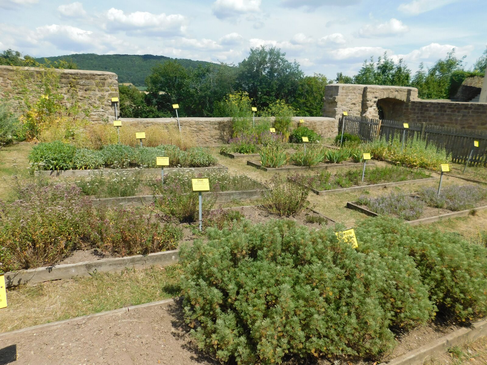 Nikon Coolpix B500 sample photo. Herb garden, castle lichtenberg photography