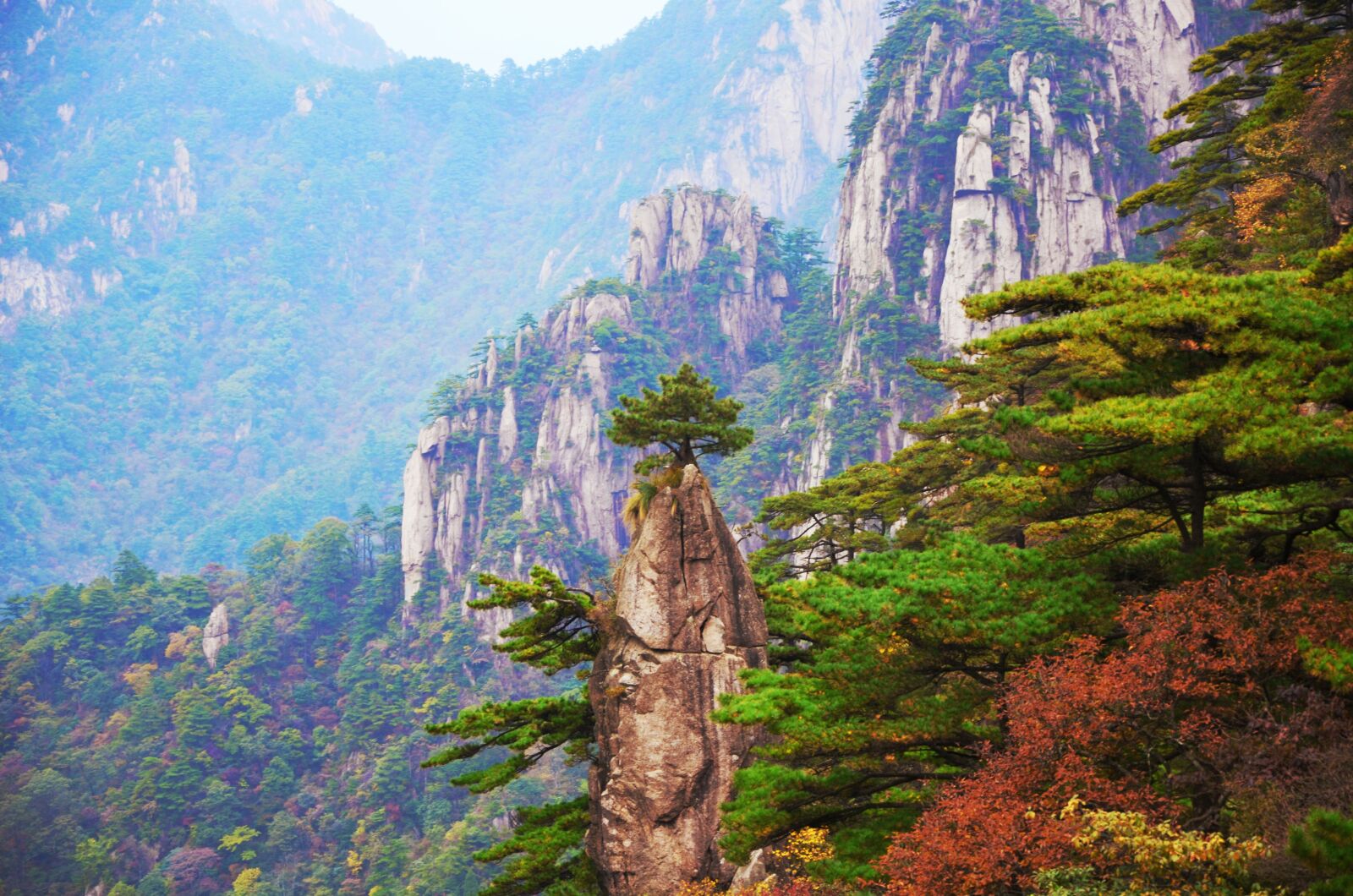 Nikon D5100 sample photo. Nature, wood, mountain photography