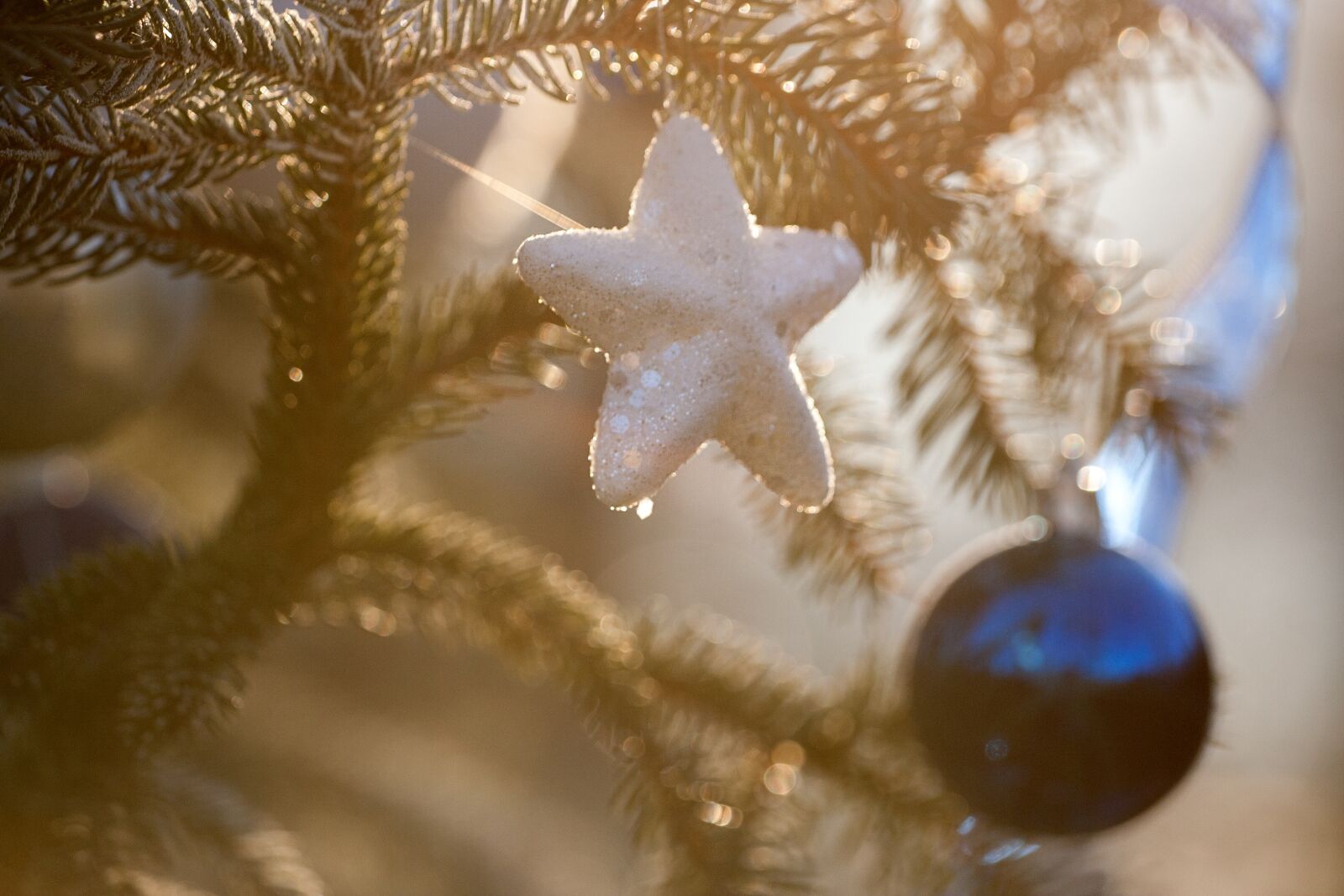 Canon EOS 350D (EOS Digital Rebel XT / EOS Kiss Digital N) sample photo. Ornament, christmas, ornamentation photography