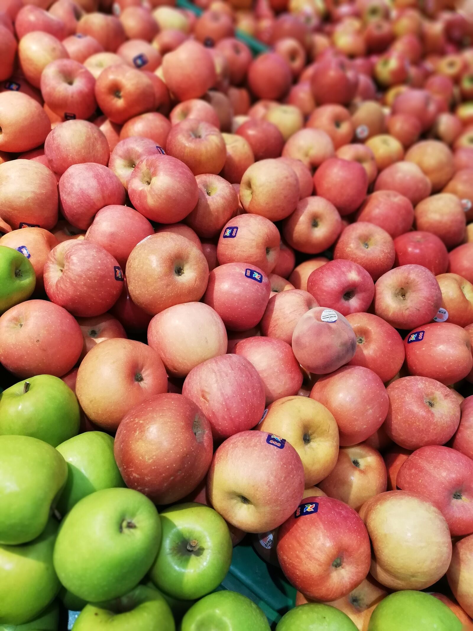 HUAWEI P20 lite sample photo. Background, berries, berry photography