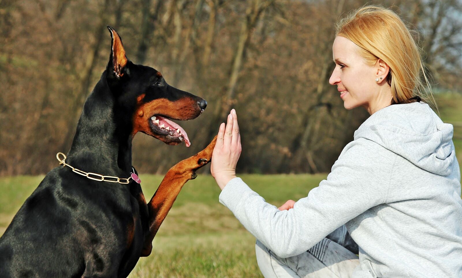 Canon EOS 600D (Rebel EOS T3i / EOS Kiss X5) + Canon EF 24-105mm F4L IS USM sample photo. Friendship, doberman, blonde woman photography