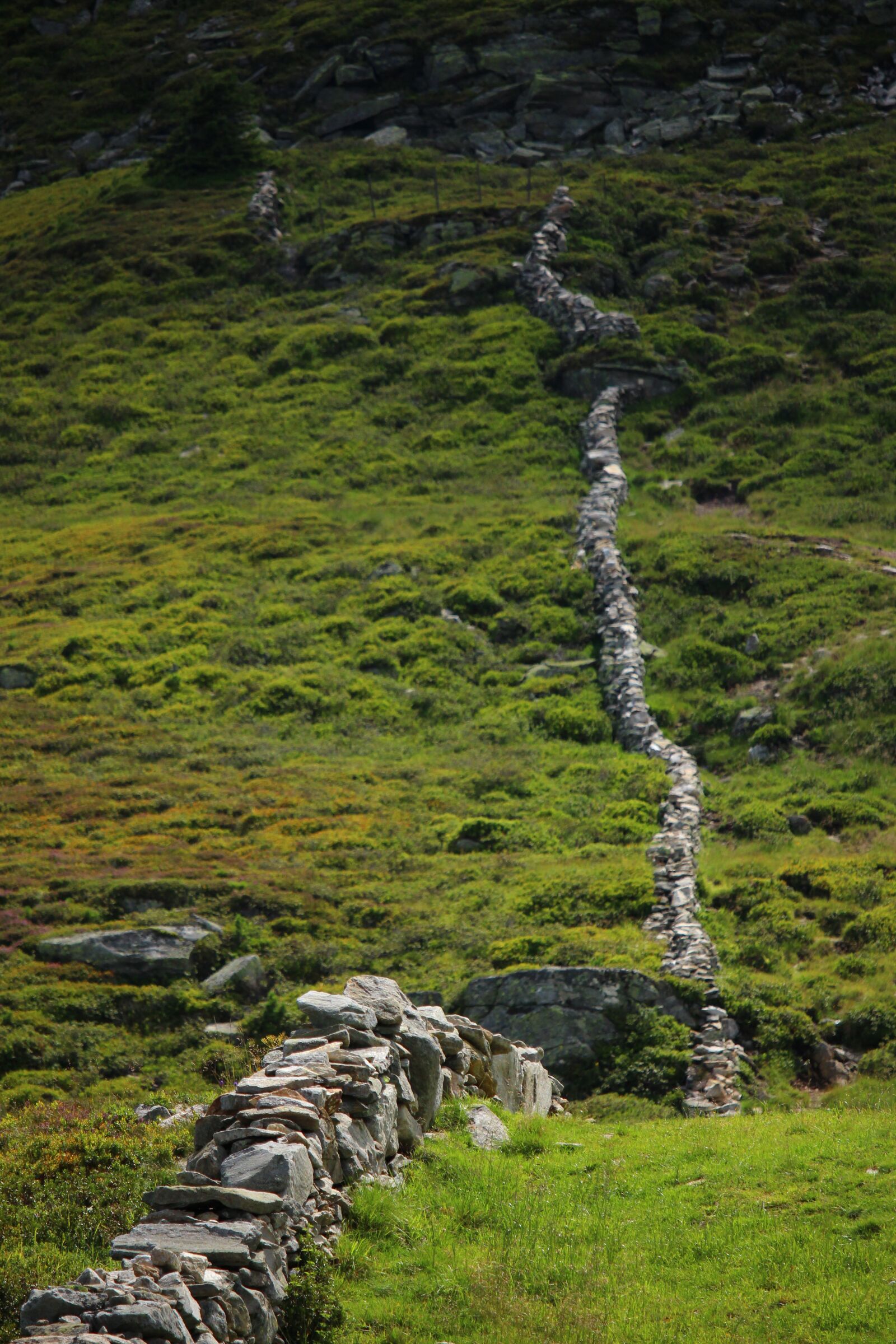 Canon EOS 700D (EOS Rebel T5i / EOS Kiss X7i) sample photo. Landscape, wall, nature photography