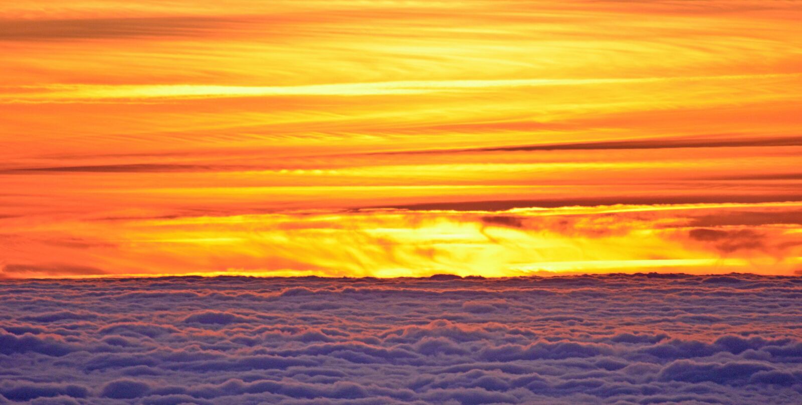 Nikon D5200 sample photo. Sunset, sun, twilight photography
