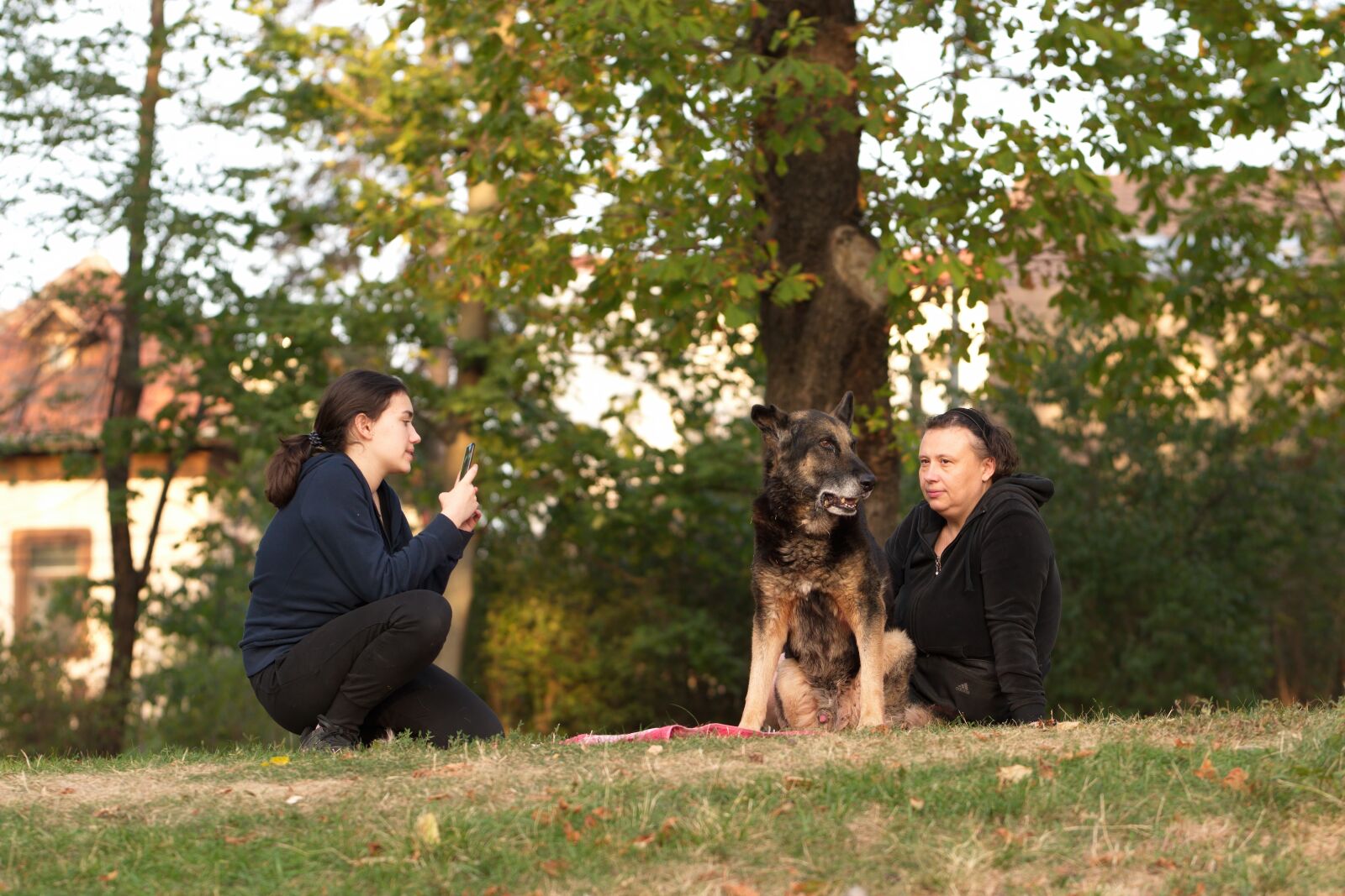 Nikon D5300 sample photo. Women, dog, pet photography