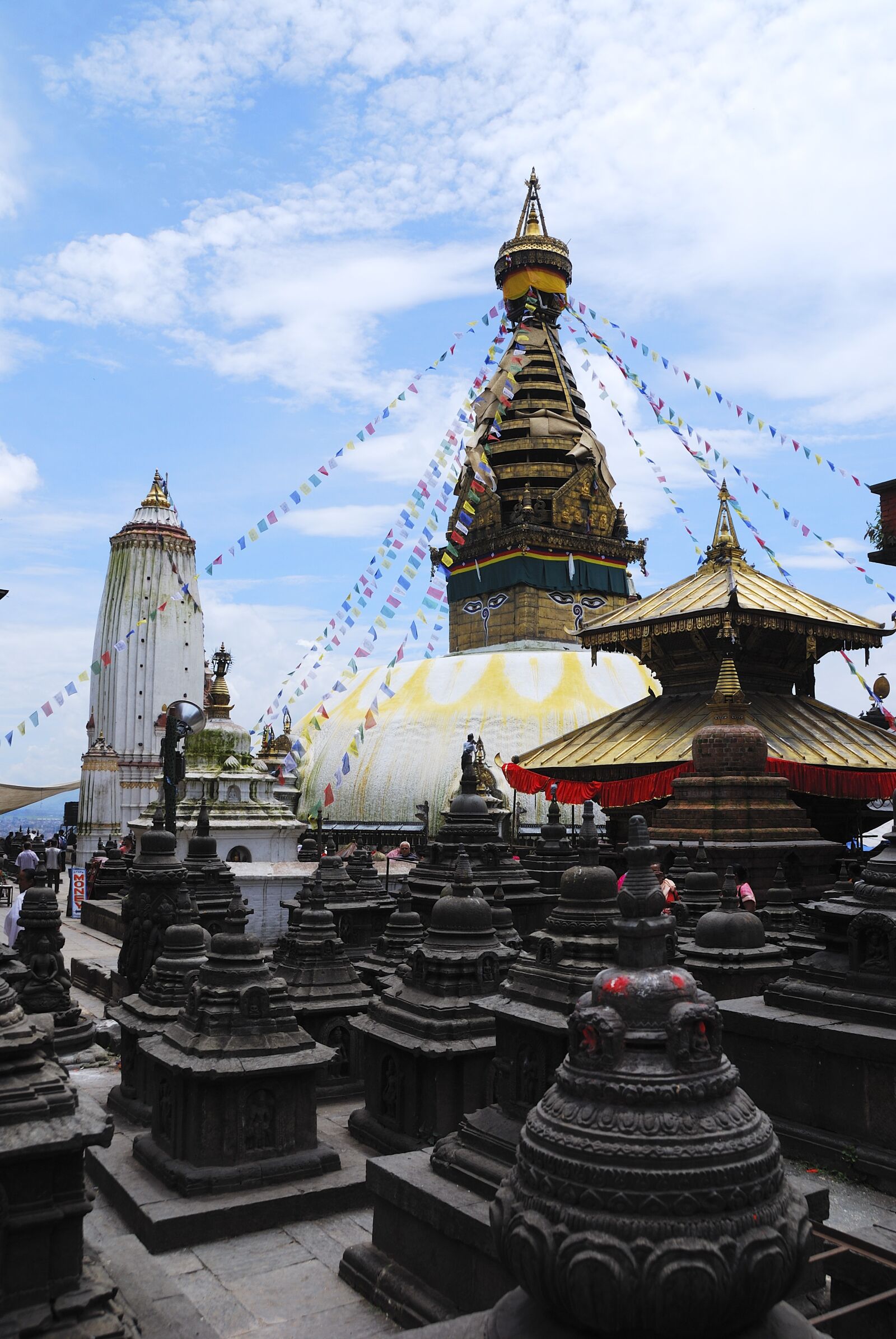 Nikon D80 sample photo. India, nepal, asia photography