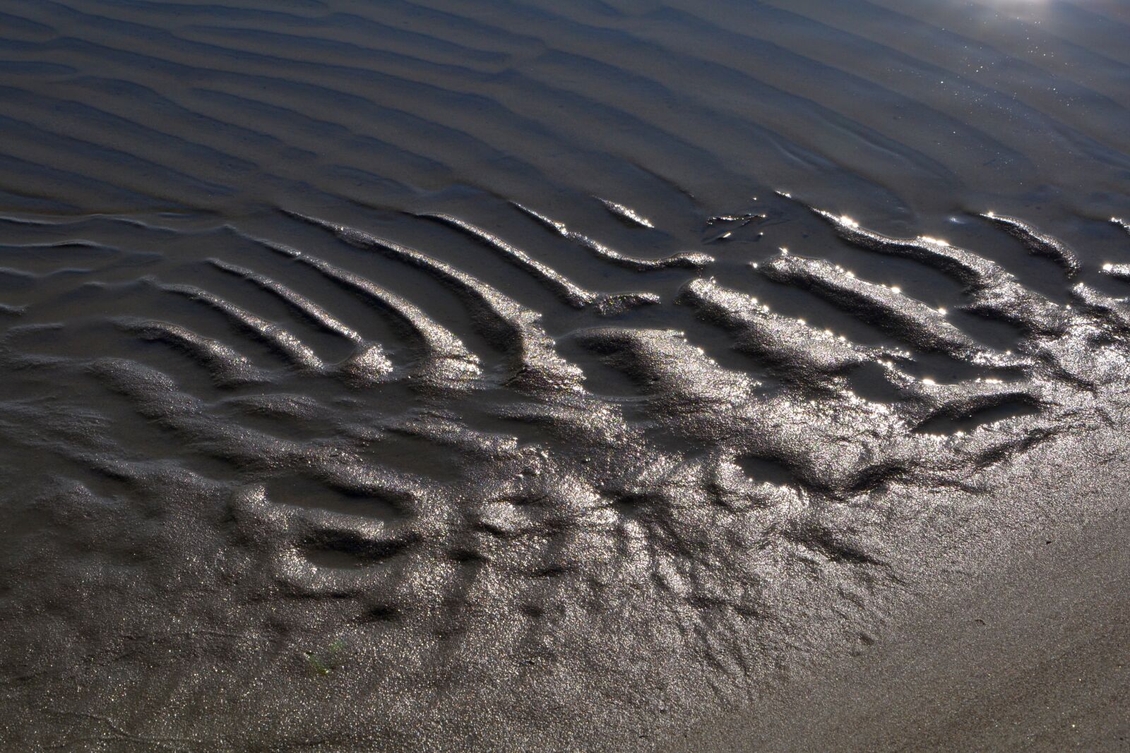 Nikon D3100 sample photo. Hungary, baranya, drava photography