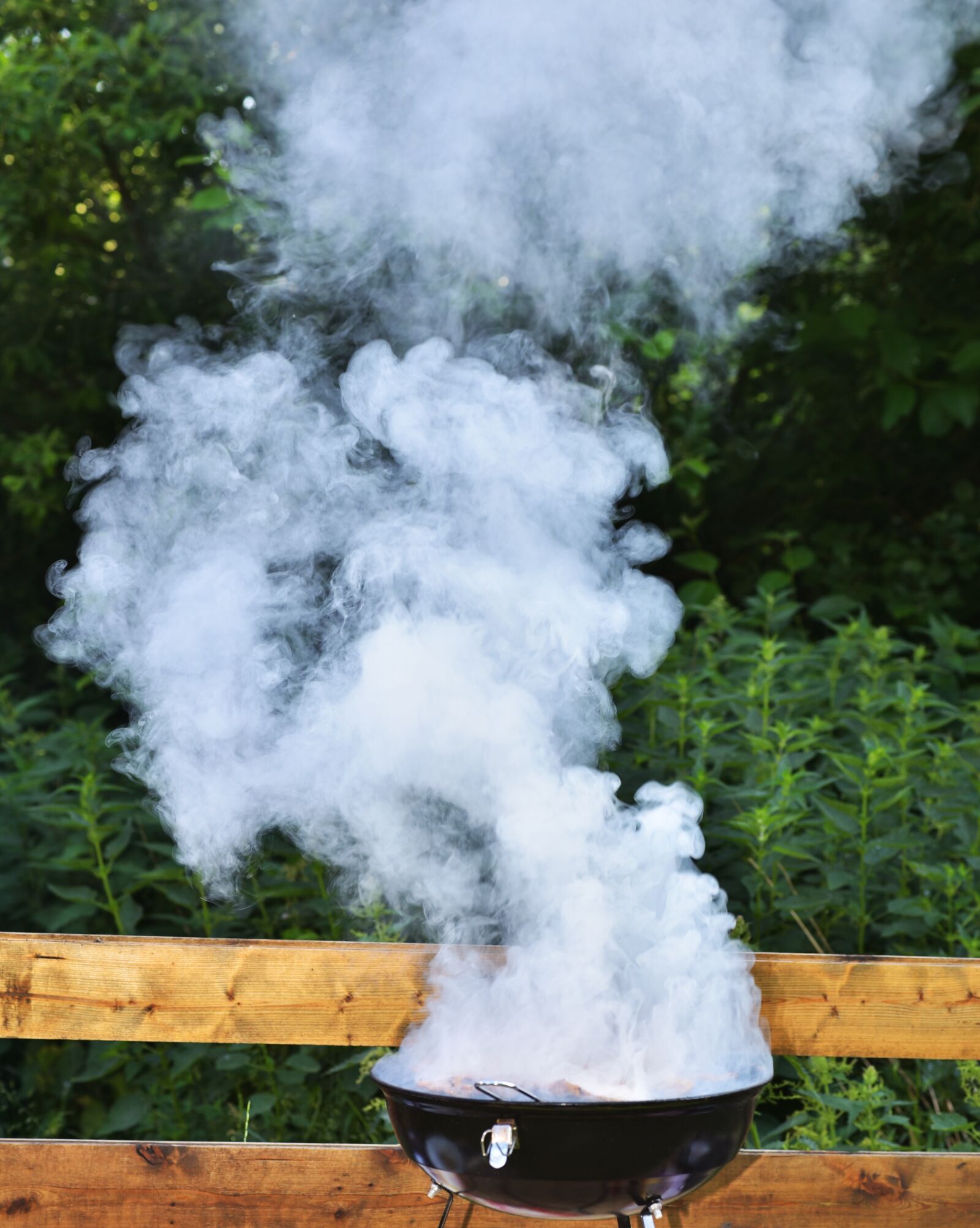 Nikon D750 sample photo. Smoke, grill, meat photography