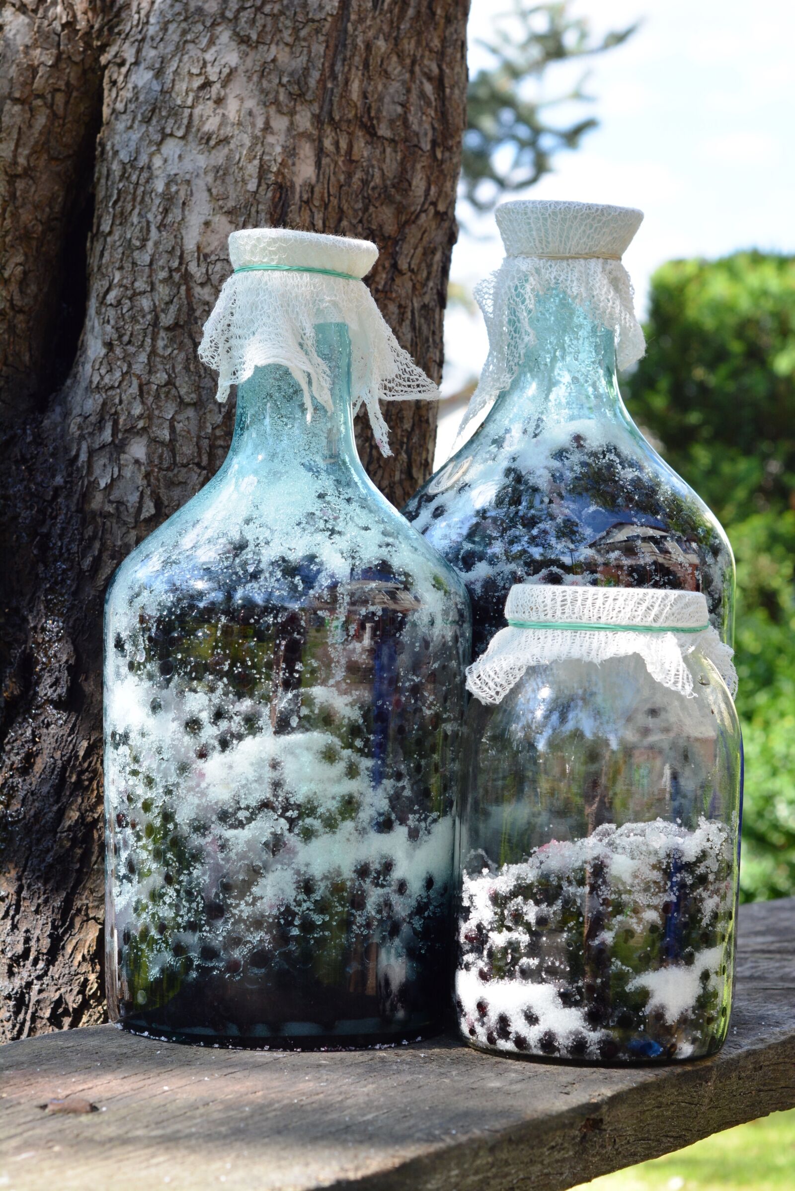 Nikon D5200 sample photo. Aronia, fruit, preparations photography