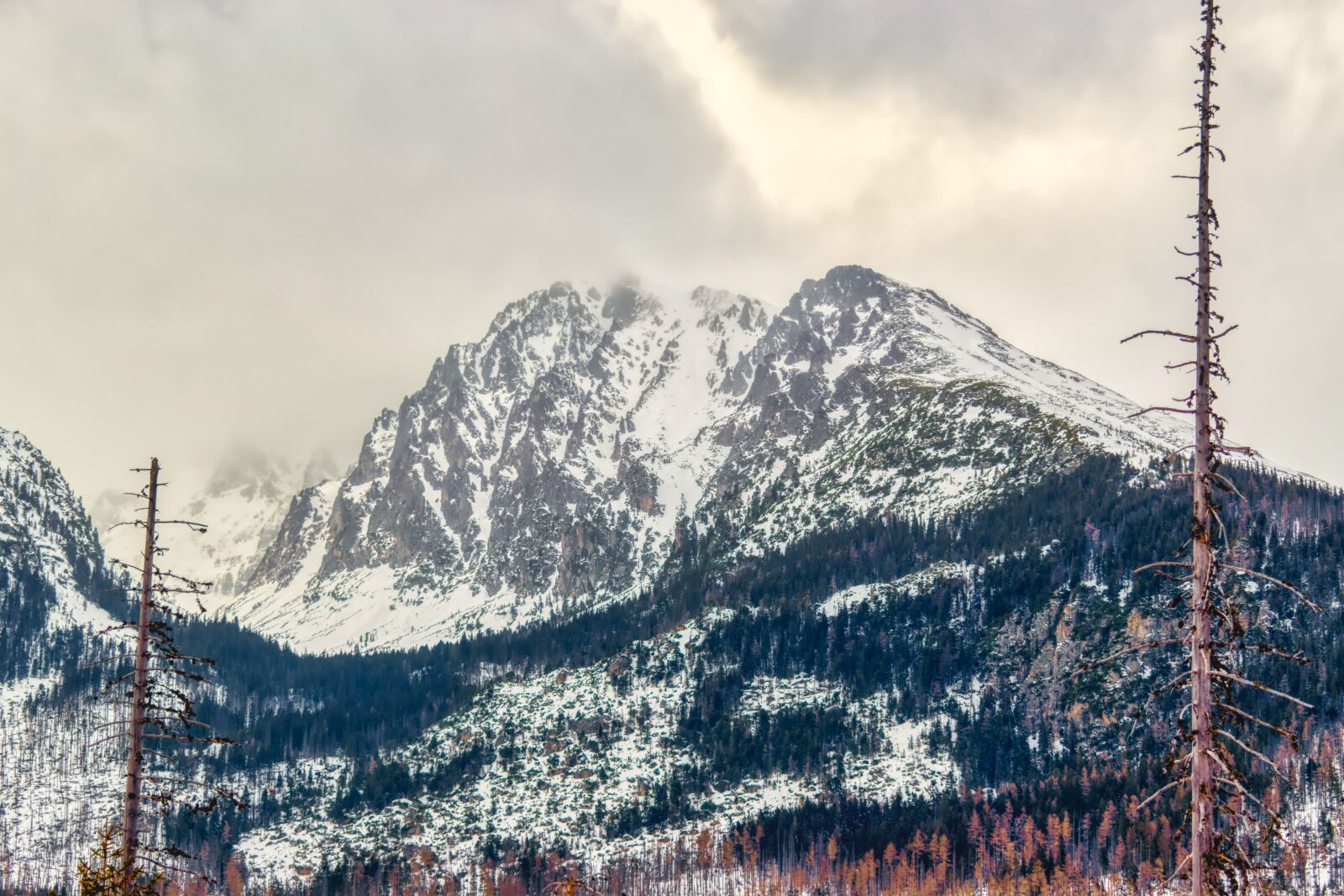 Nikon D5600 sample photo. Lomnicky stit, lomnicky peak photography