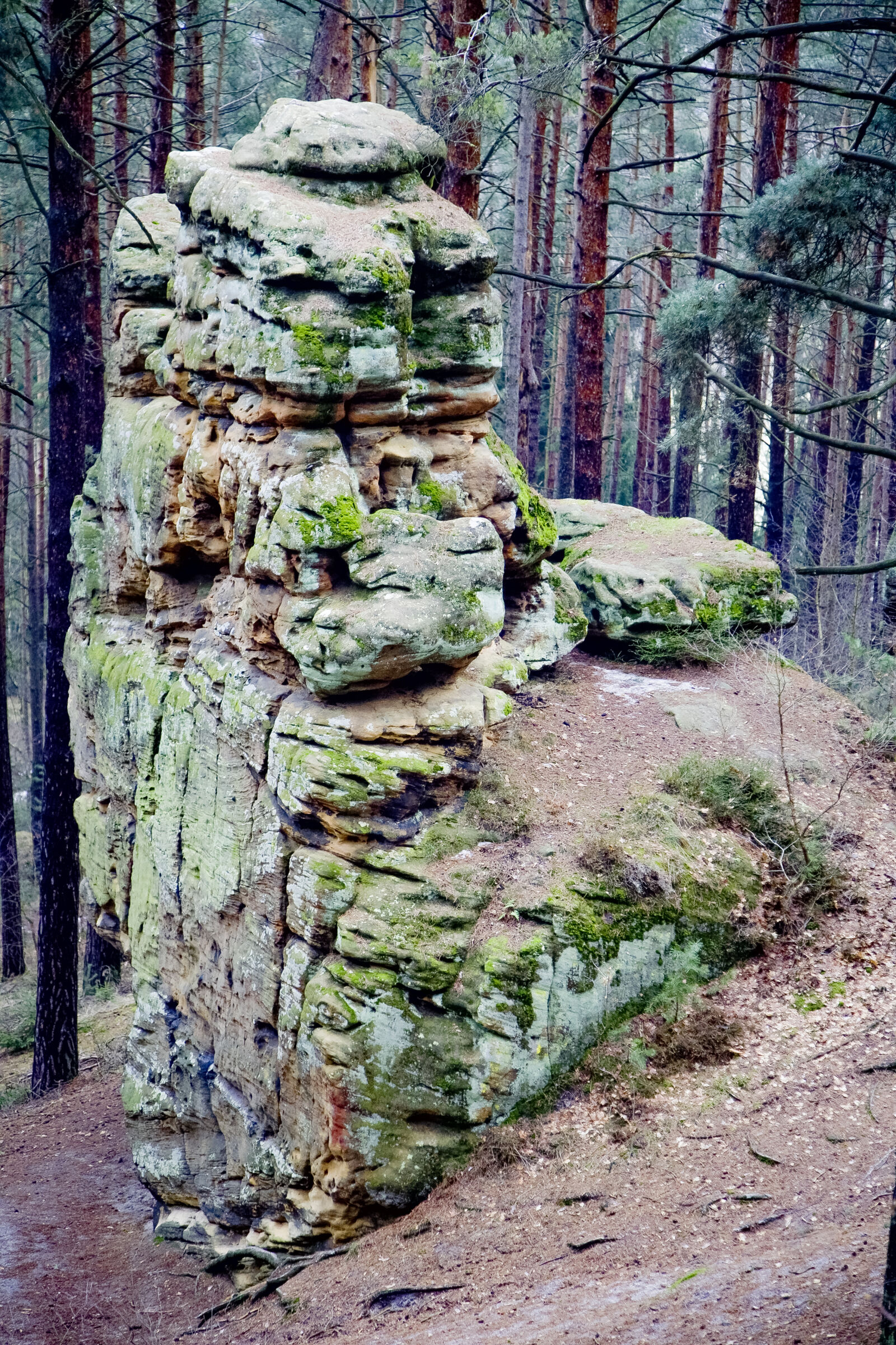 Canon EOS 5D sample photo. Landscape, nature, rocks, forest photography