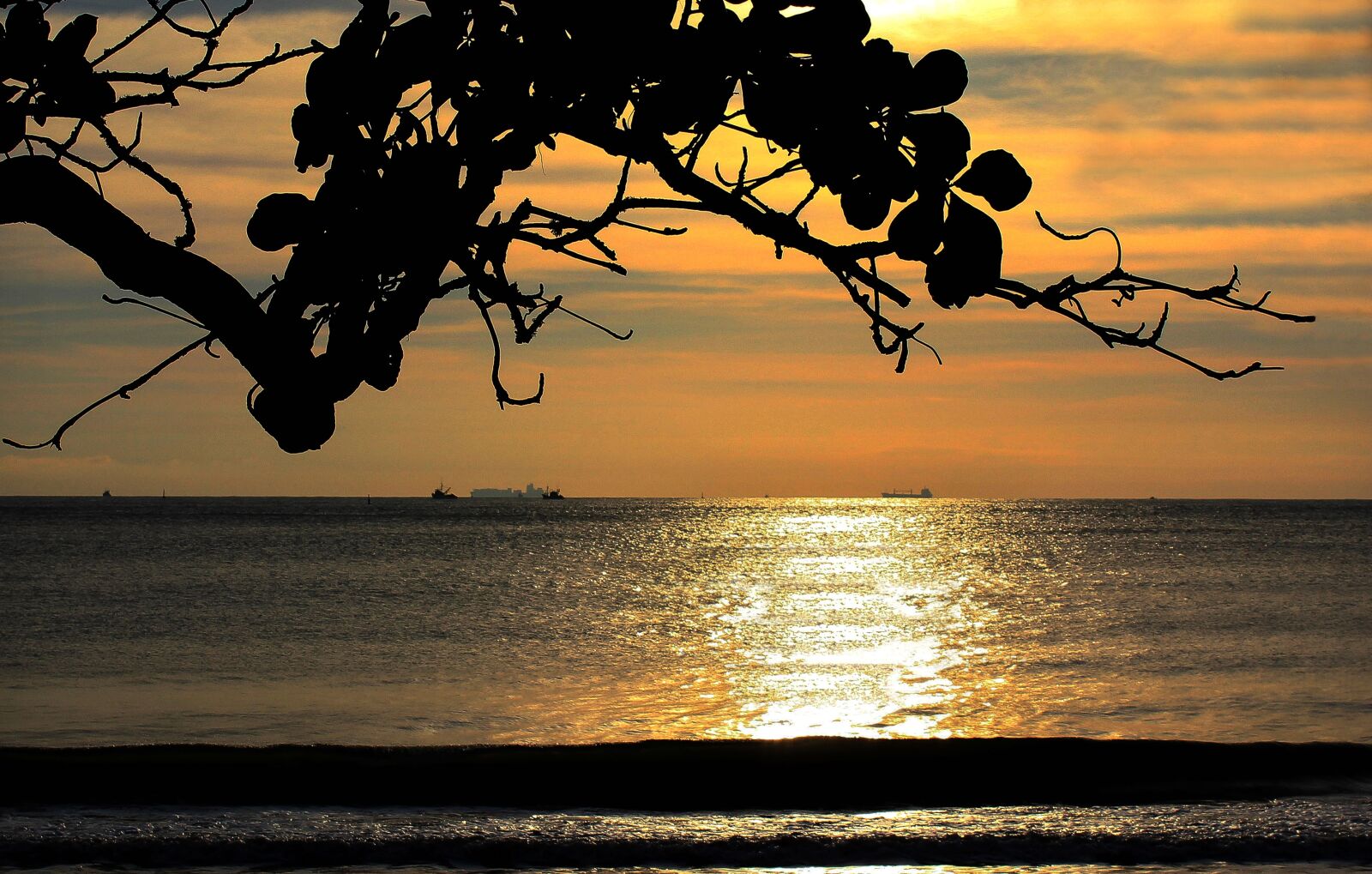 Canon EOS 600D (Rebel EOS T3i / EOS Kiss X5) sample photo. Beach, itajai, santa catarina photography