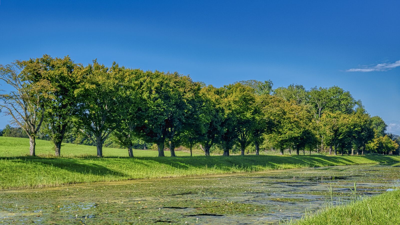 Nikon D7500 sample photo. Landscape, trees, lake photography