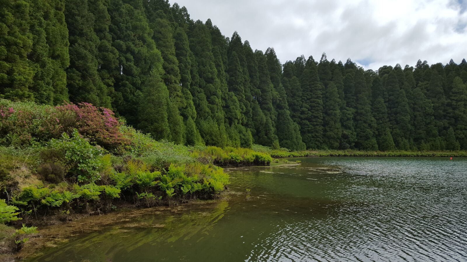 Samsung Galaxy S6 sample photo. San miguel, azores, portugal photography