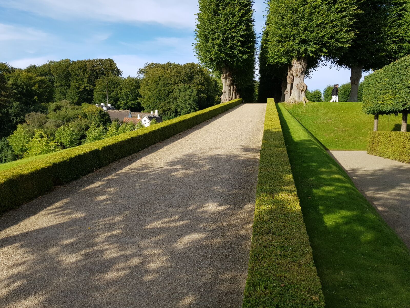 Samsung Galaxy S8 sample photo. Green, nature, denmark photography