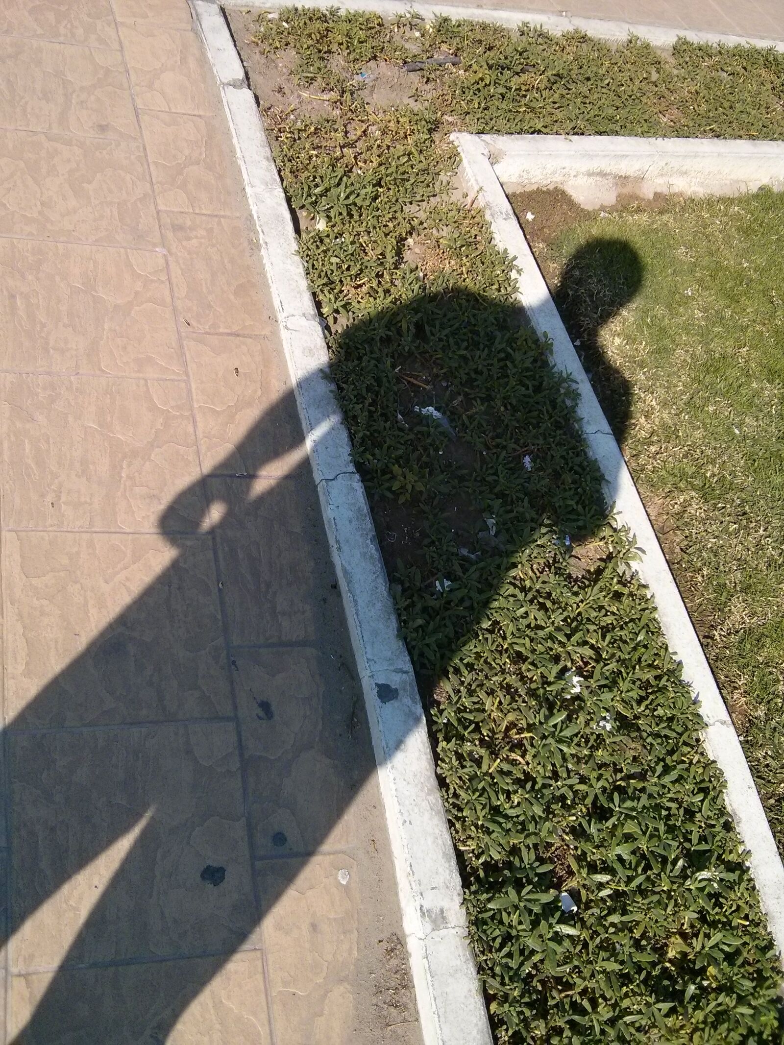 LG Nexus 4 sample photo. Shadows photography