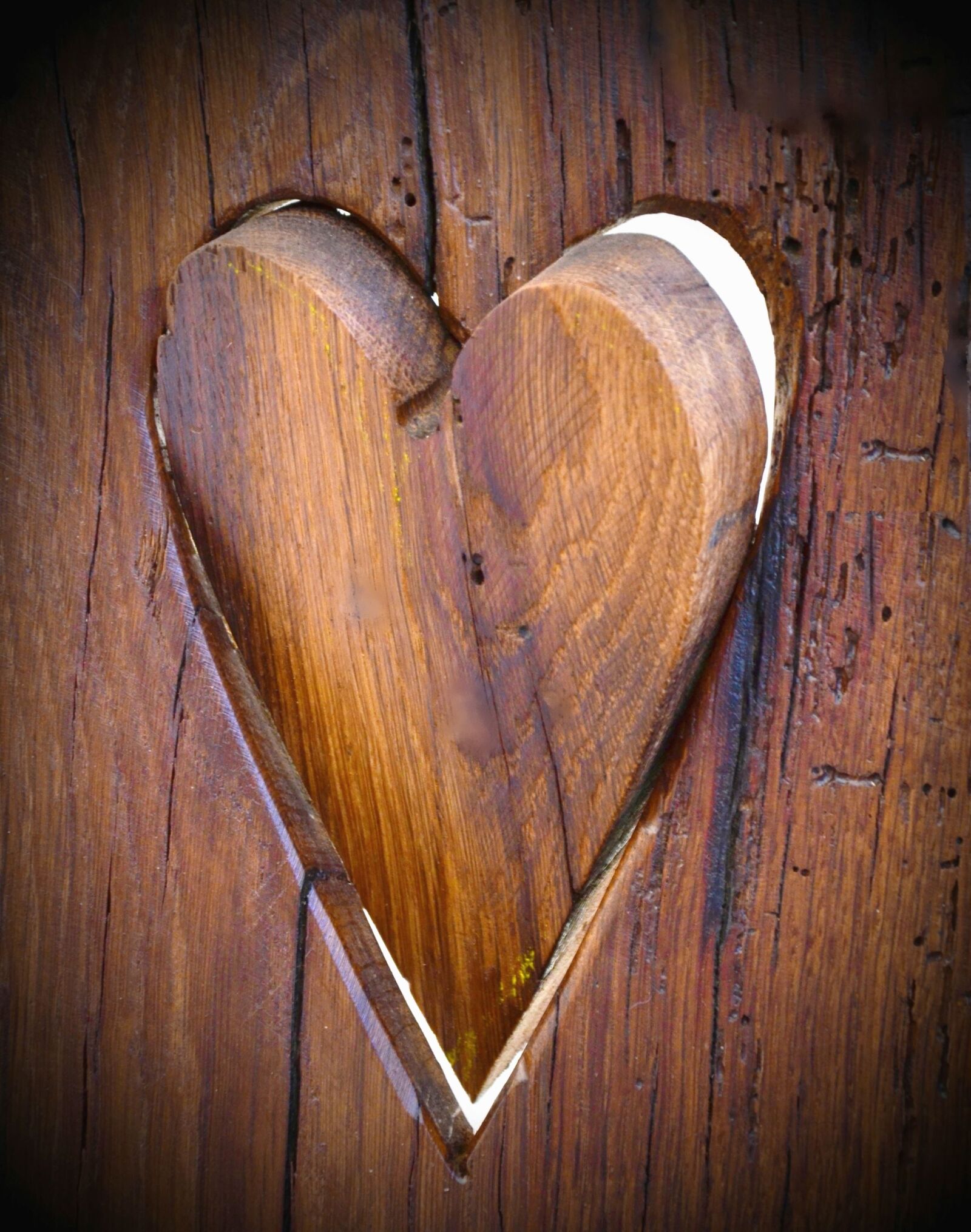 Nikon D5100 sample photo. Heart, tree, decoration, art photography