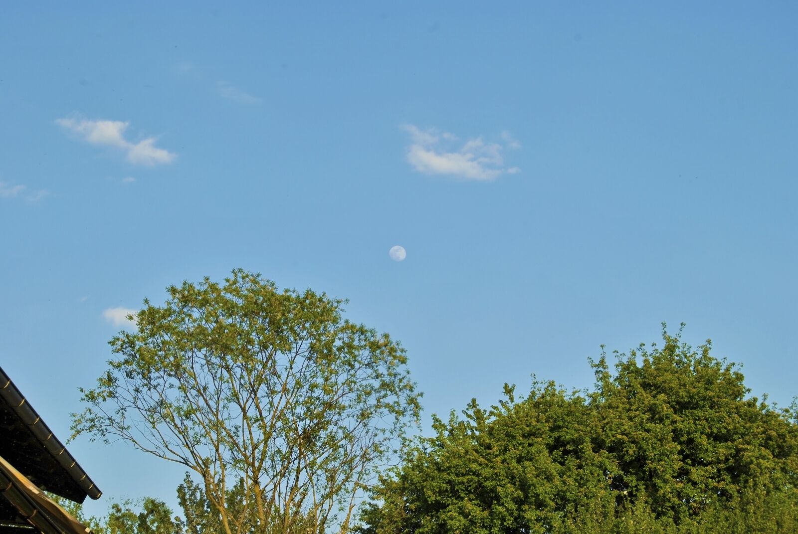 Nikon D3000 sample photo. Tree, sky, clouds photography